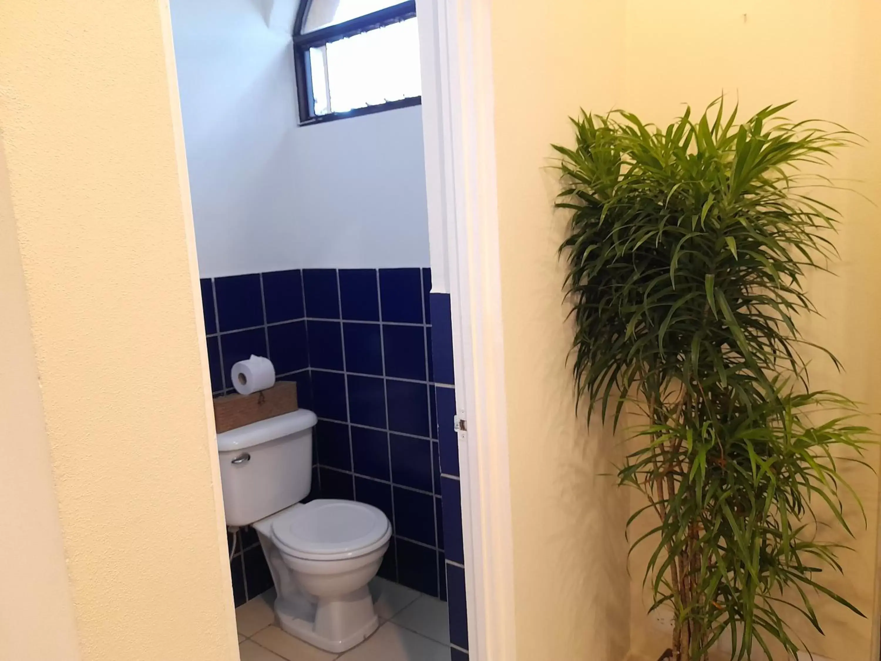 Toilet, Bathroom in Zulu Surf Hotel Tamarindo