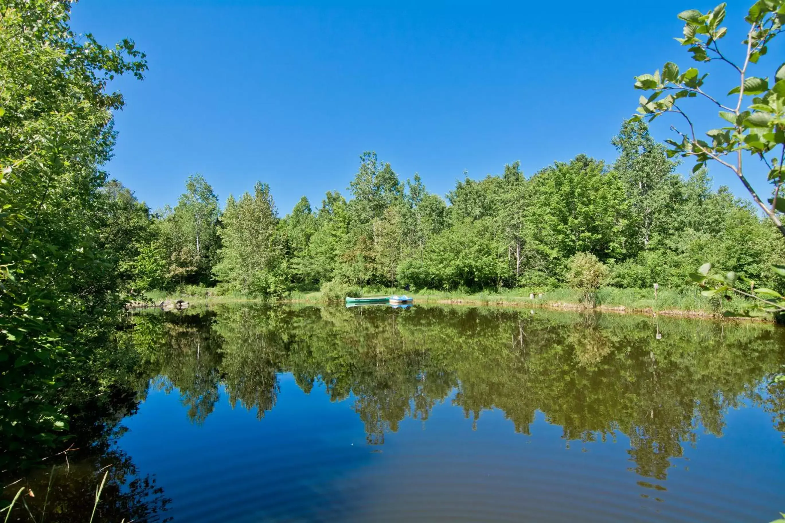 Camping Chalets Spas Pignons Rouges