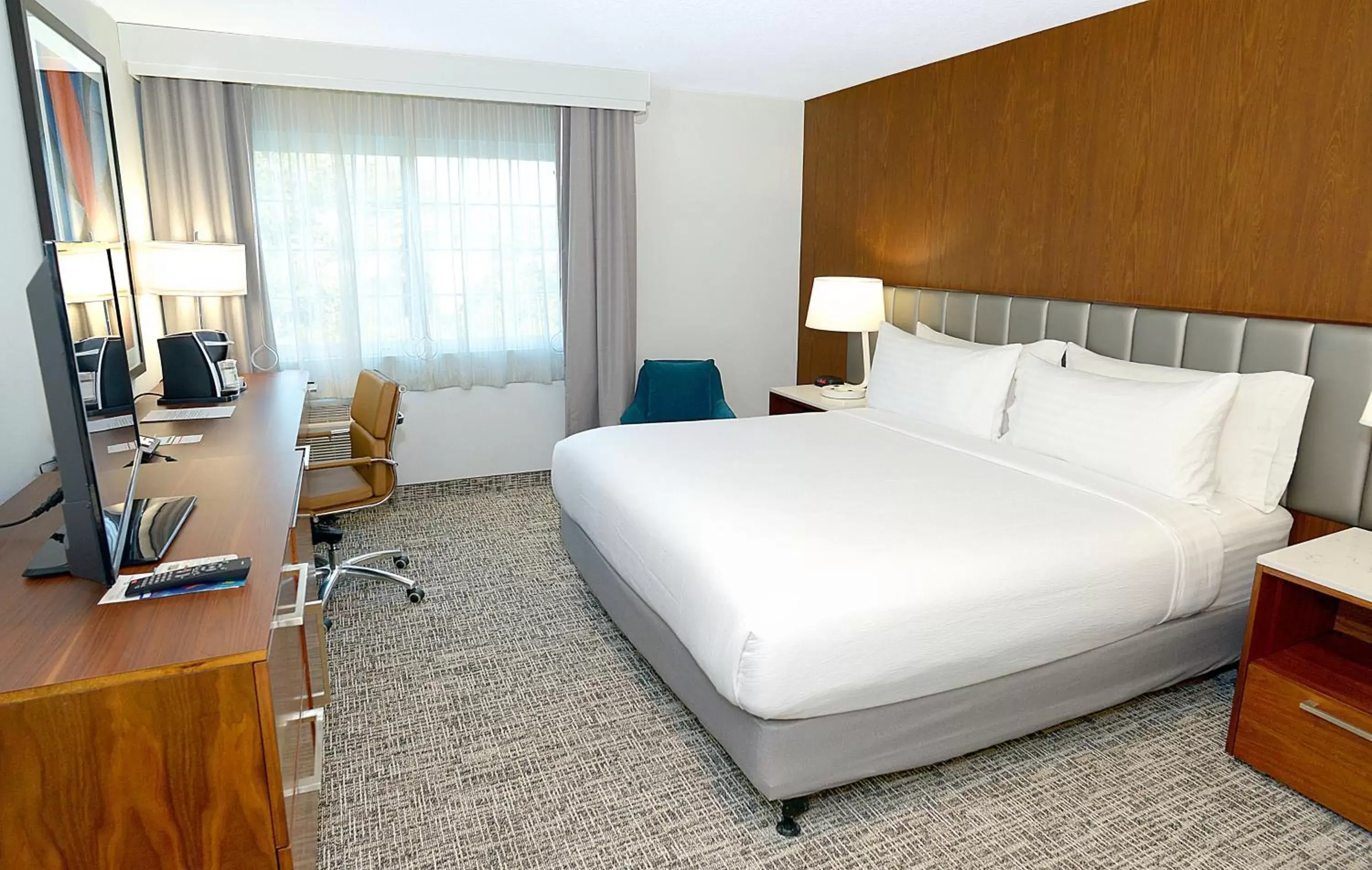 Photo of the whole room, Bed in Holiday Inn & Suites San Mateo - SFO, an IHG Hotel