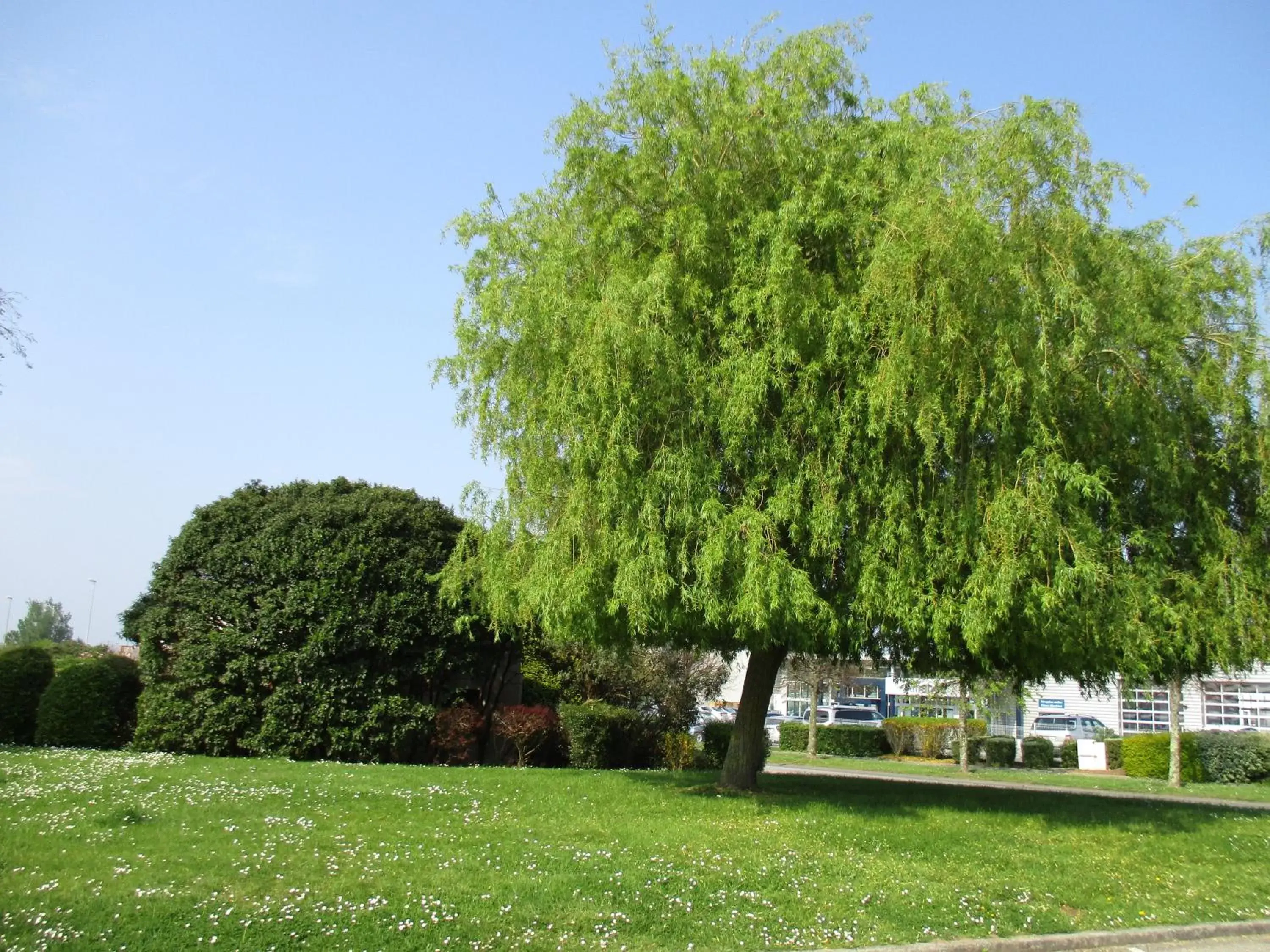 Garden in Première Classe Cherbourg - Tourlaville