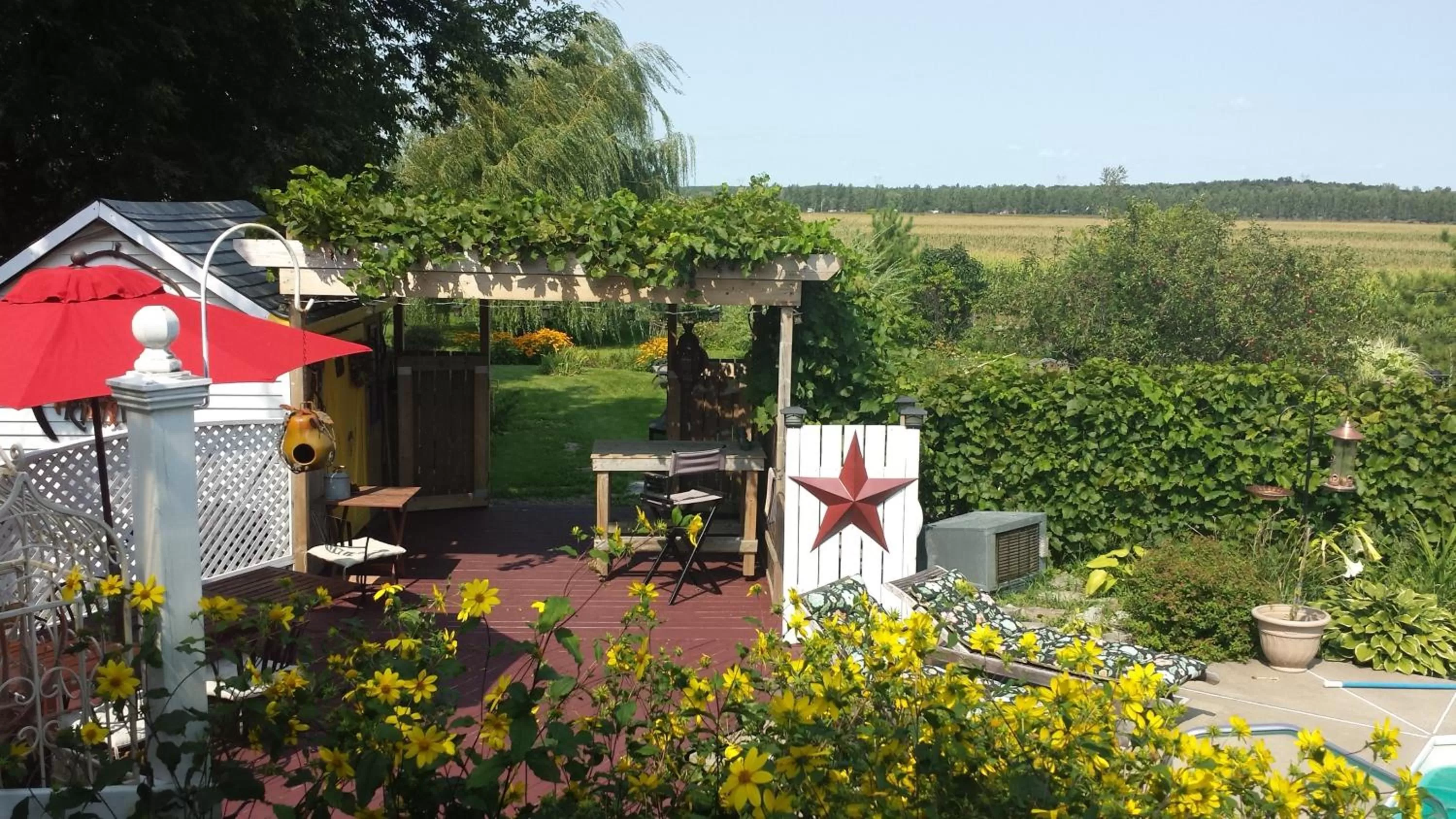 Garden view in Atelier Galerie Anne Drouin Peinture & Pension