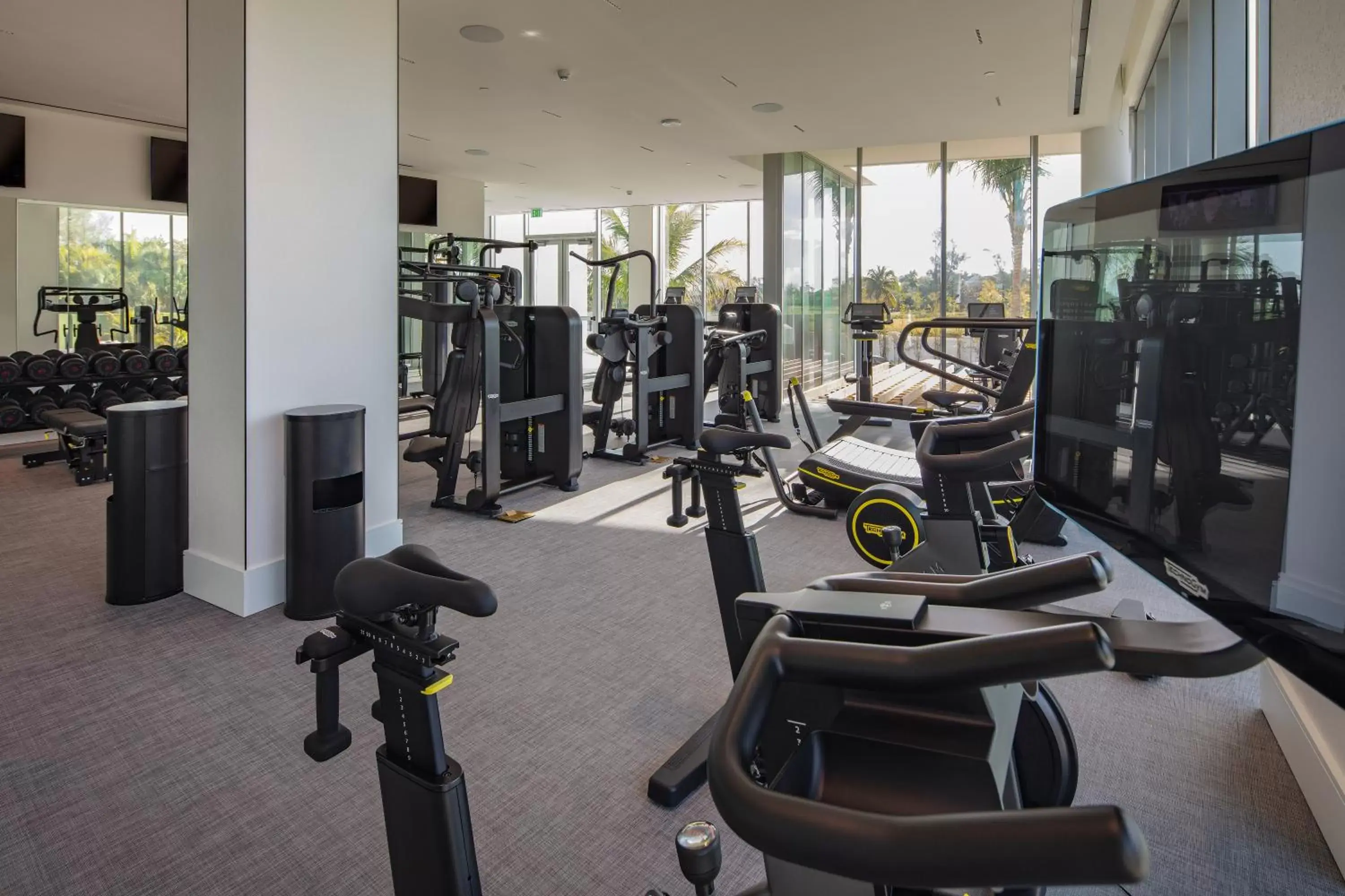 Fitness centre/facilities, Fitness Center/Facilities in Goldwynn Resort & Residences