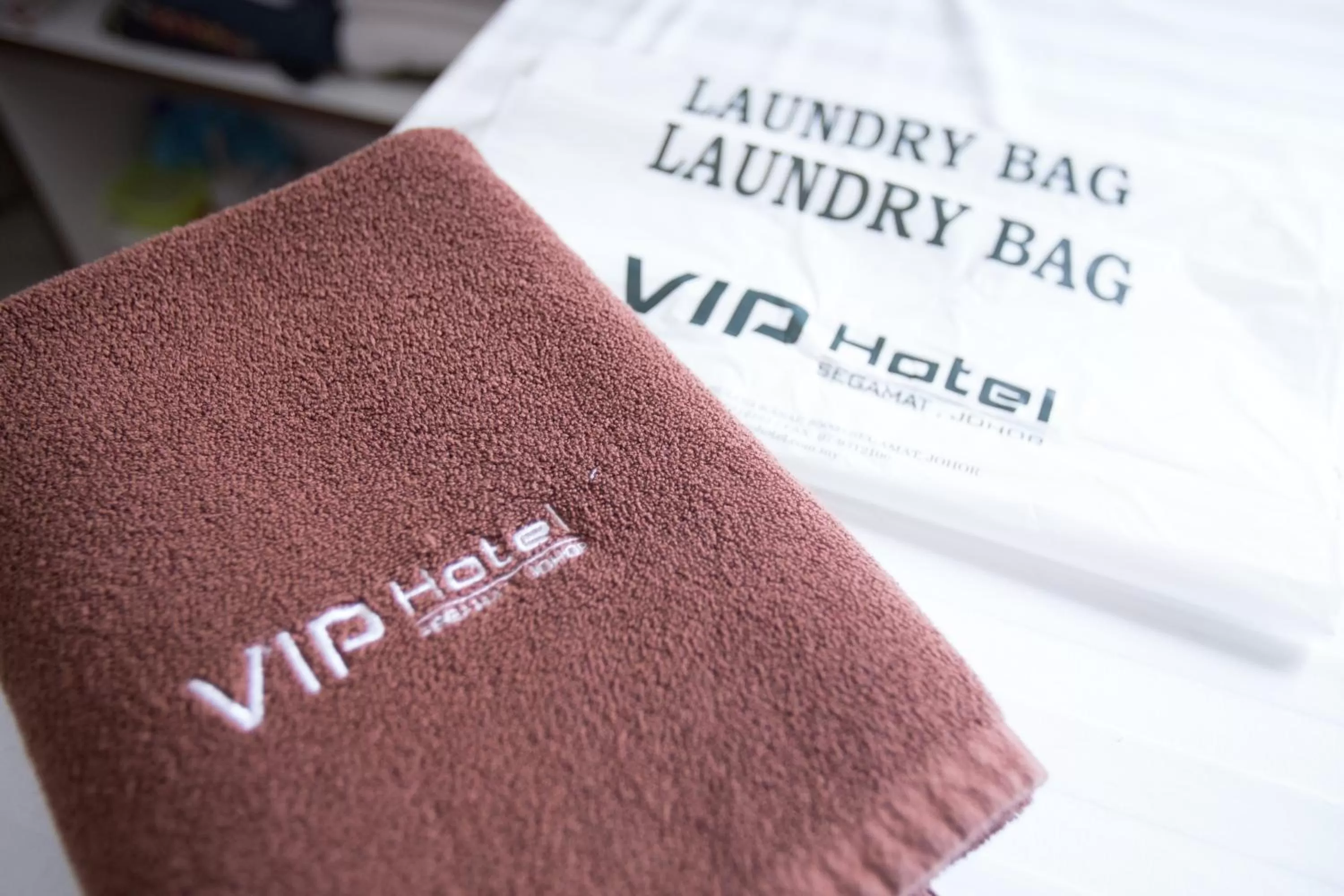 Decorative detail, Property Logo/Sign in VIP Hotel Segamat