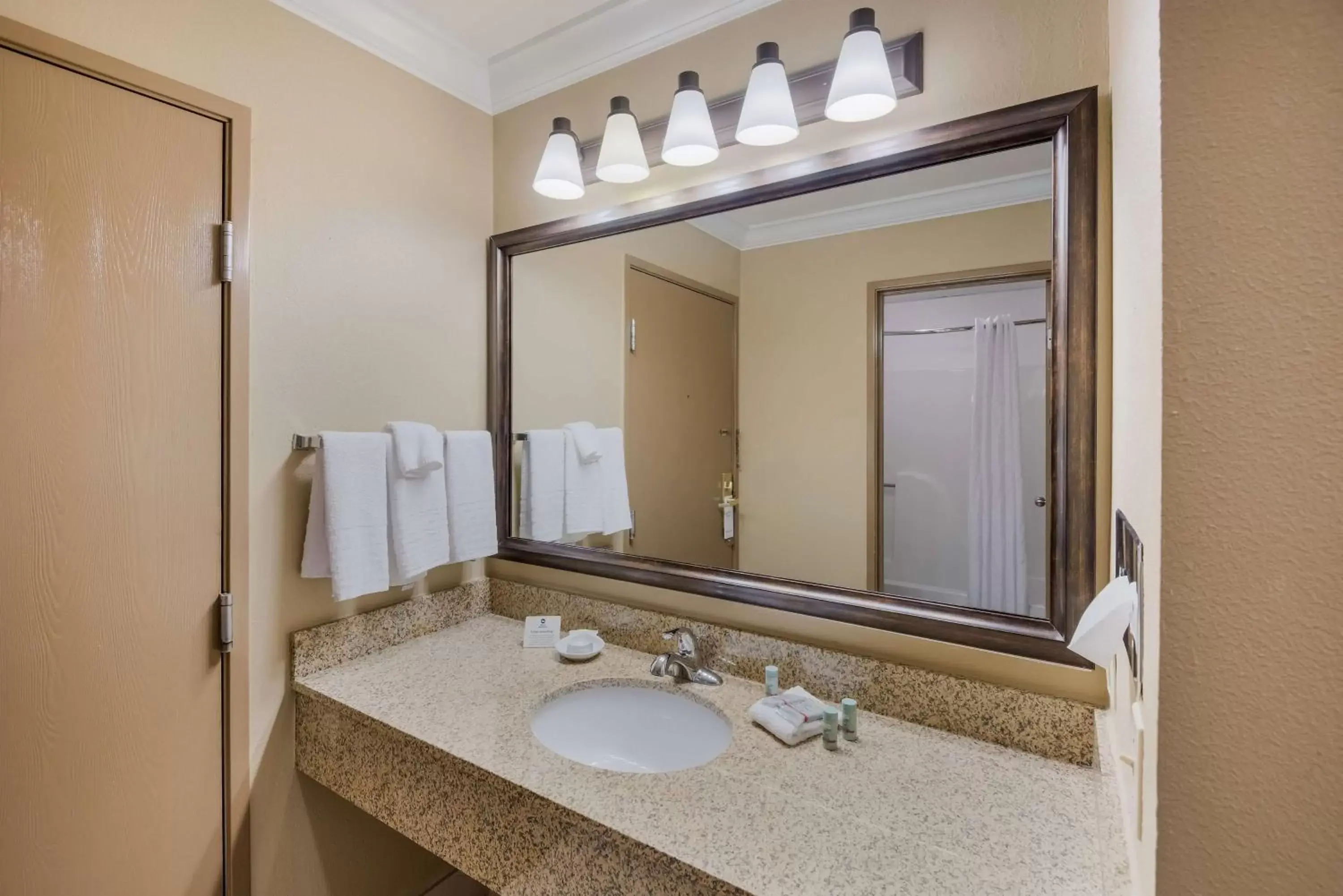 Bathroom in Best Western Sycamore Inn