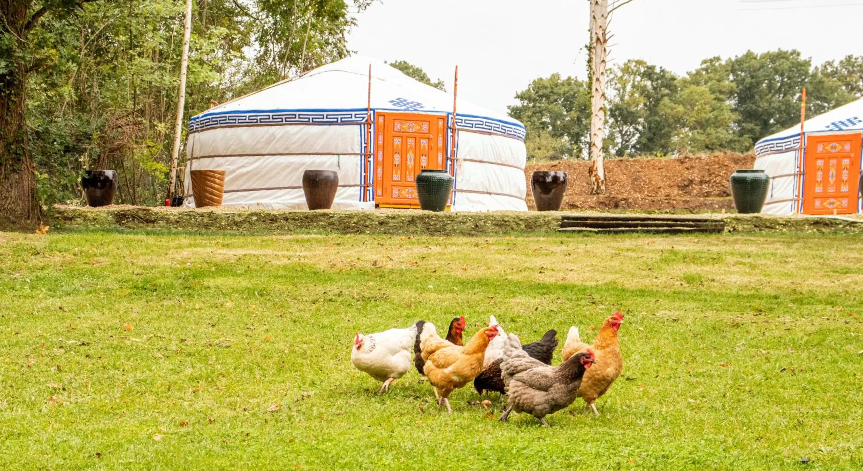 Garden in Domaine De La Corniche