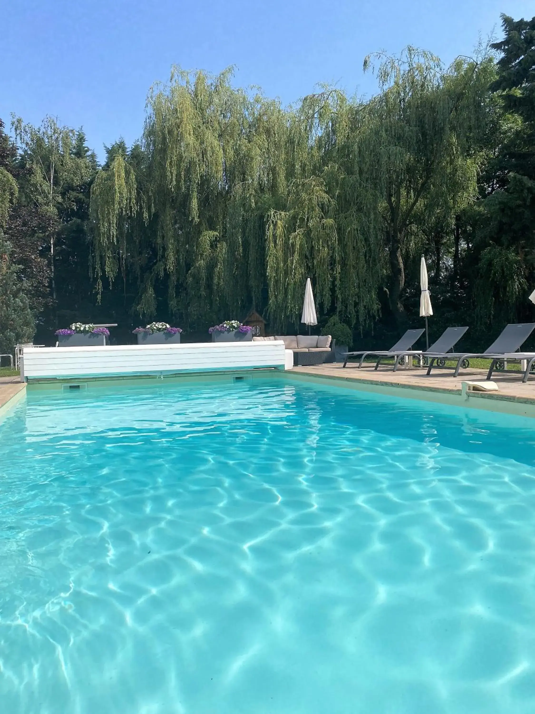 Garden, Swimming Pool in Les Jardins D'Adalric