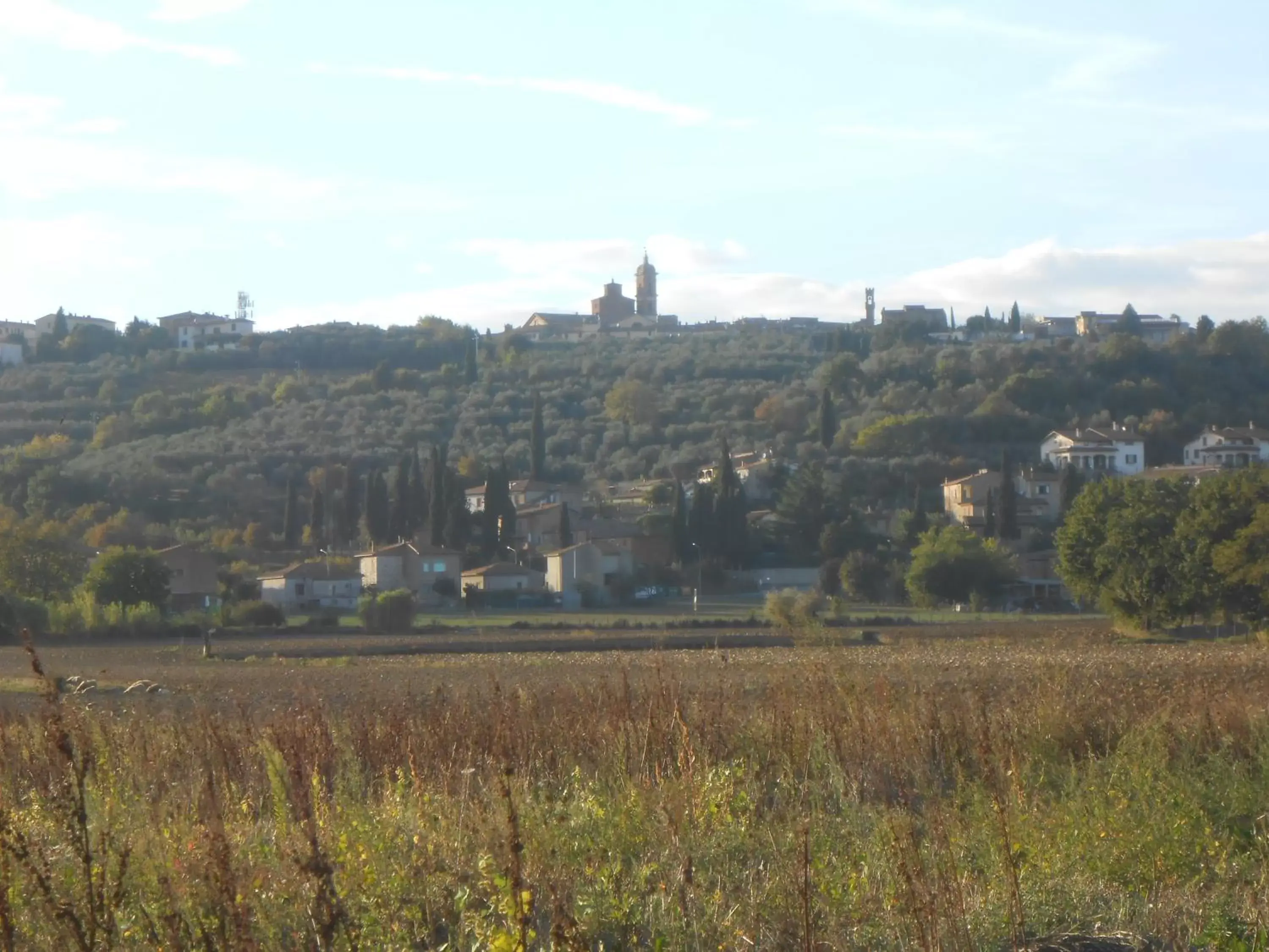 Natural landscape in Orto degli Ulivi