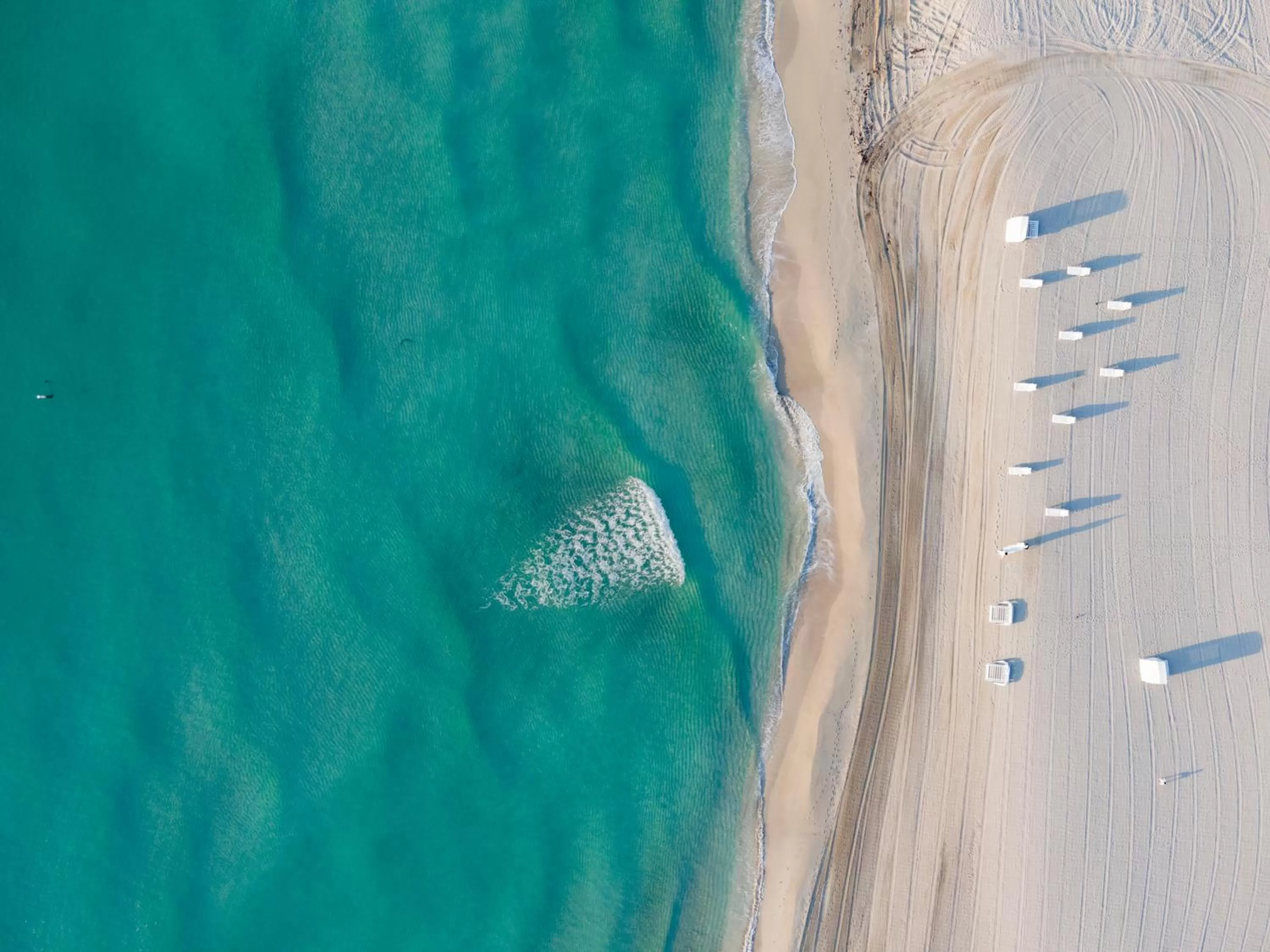 Beach in Beach Haus Bal Harbour