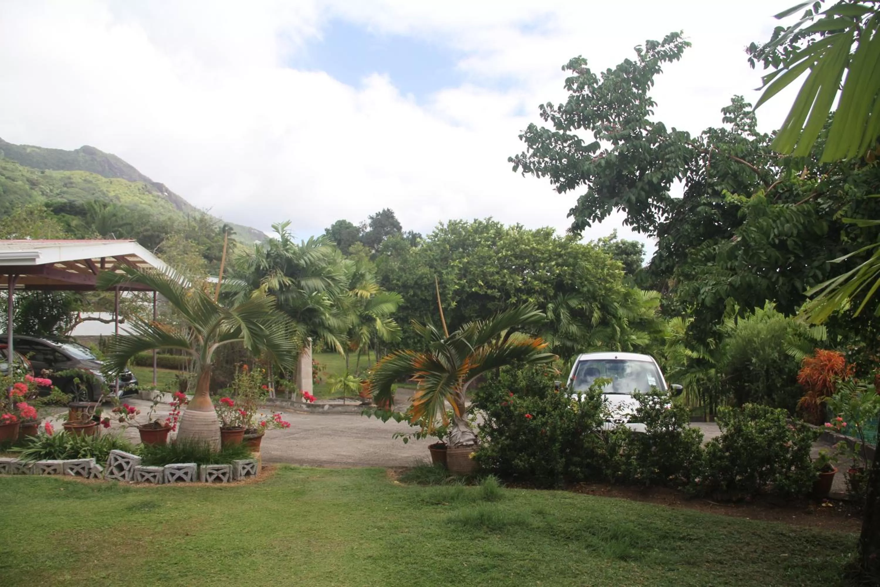 Other in Daniella's Bungalows