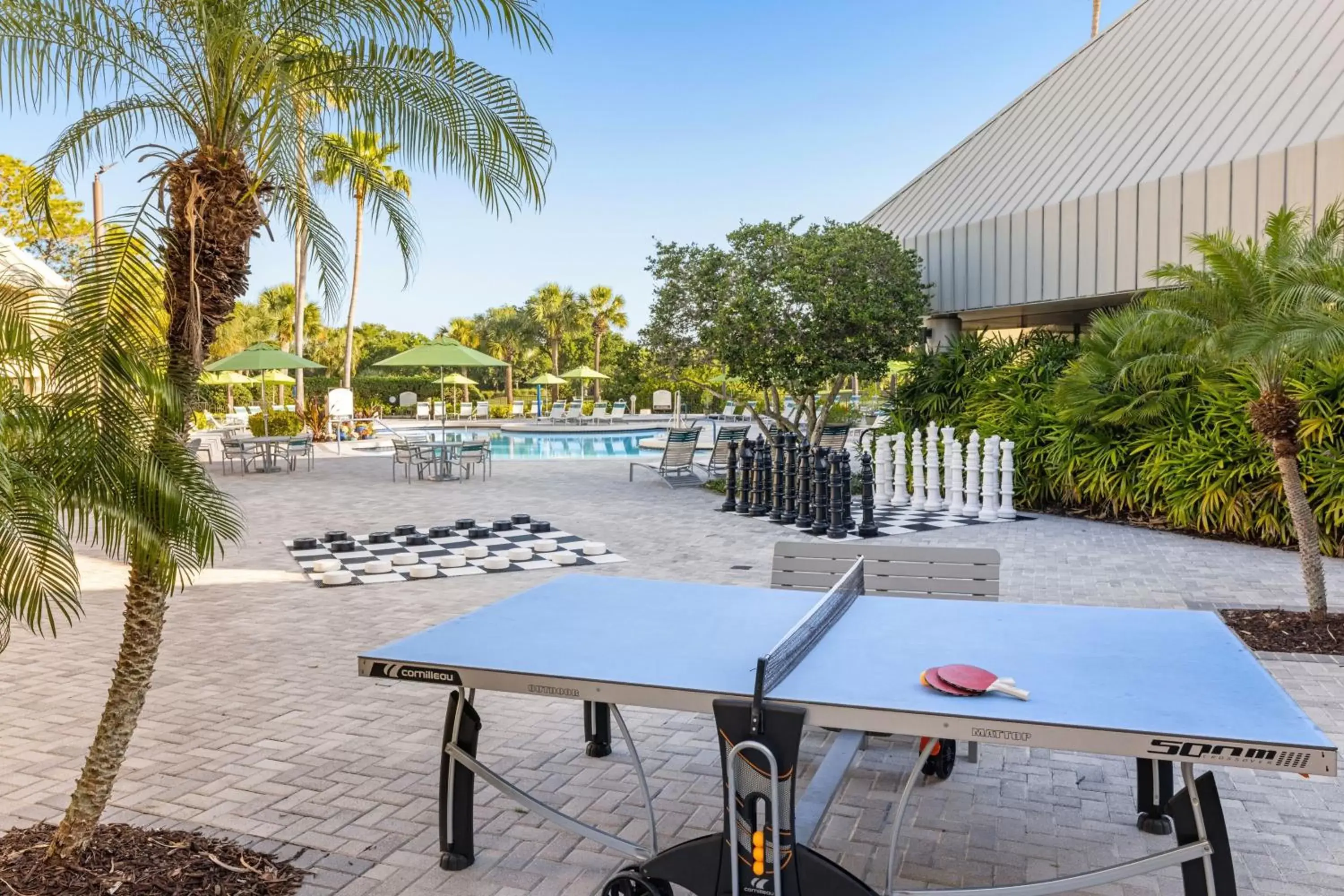 Other, Table Tennis in Marriott's Sabal Palms