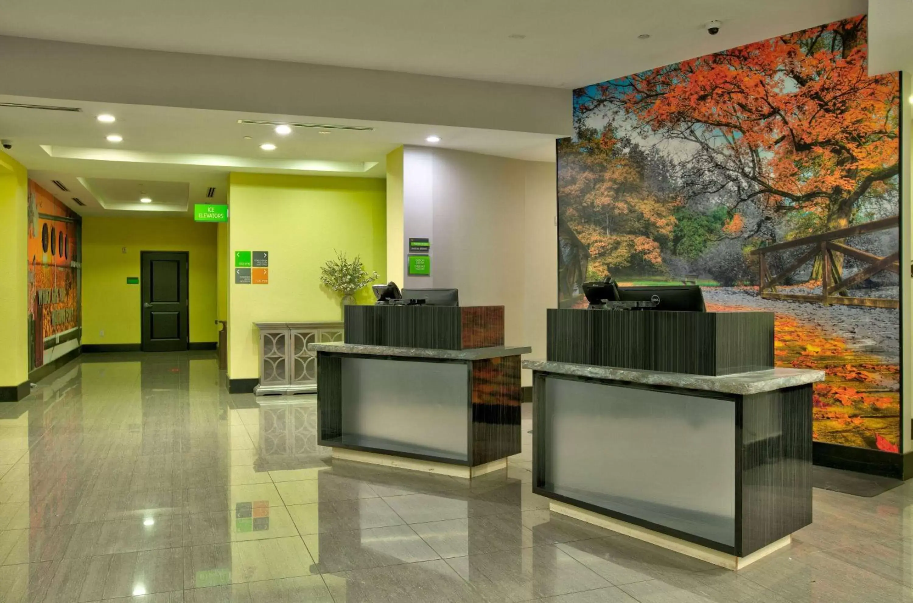 Lobby or reception, Lobby/Reception in La Quinta Inn & Suites by Wyndham Lubbock Southwest