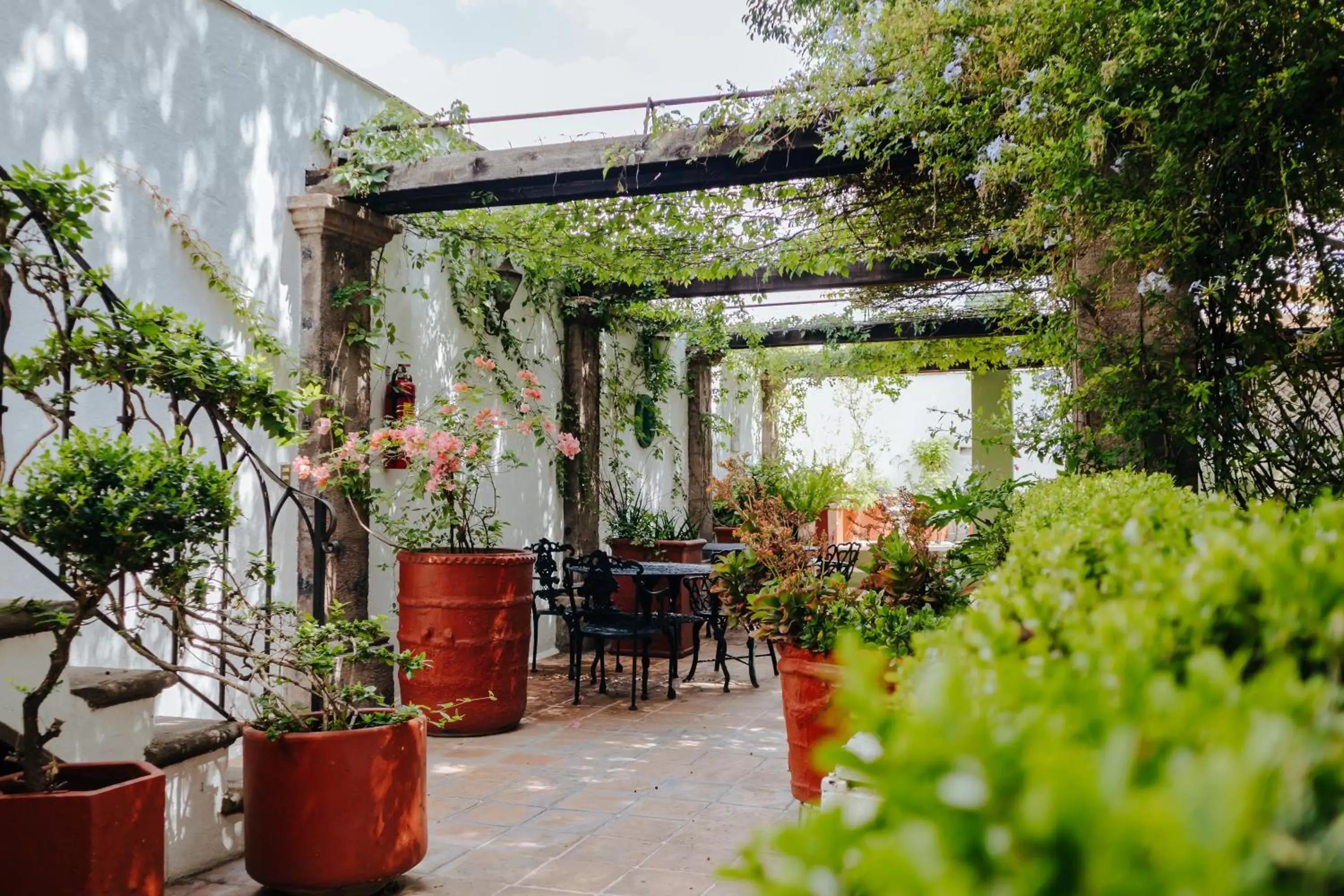 Patio in Casa Quetzal