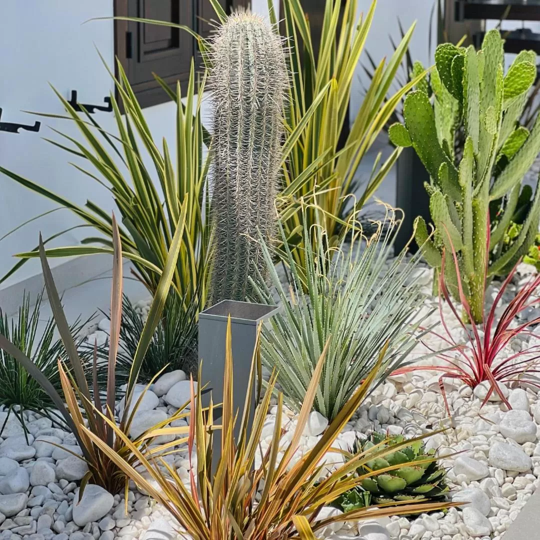 Fahana - Gay Men Only