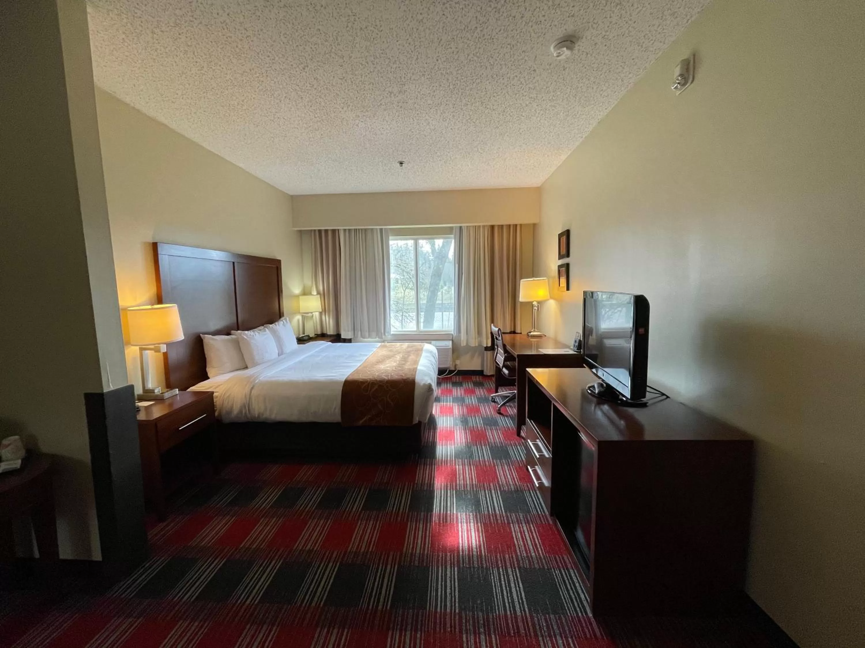 Photo of the whole room, Bed in Comfort Suites Near Vancouver Mall
