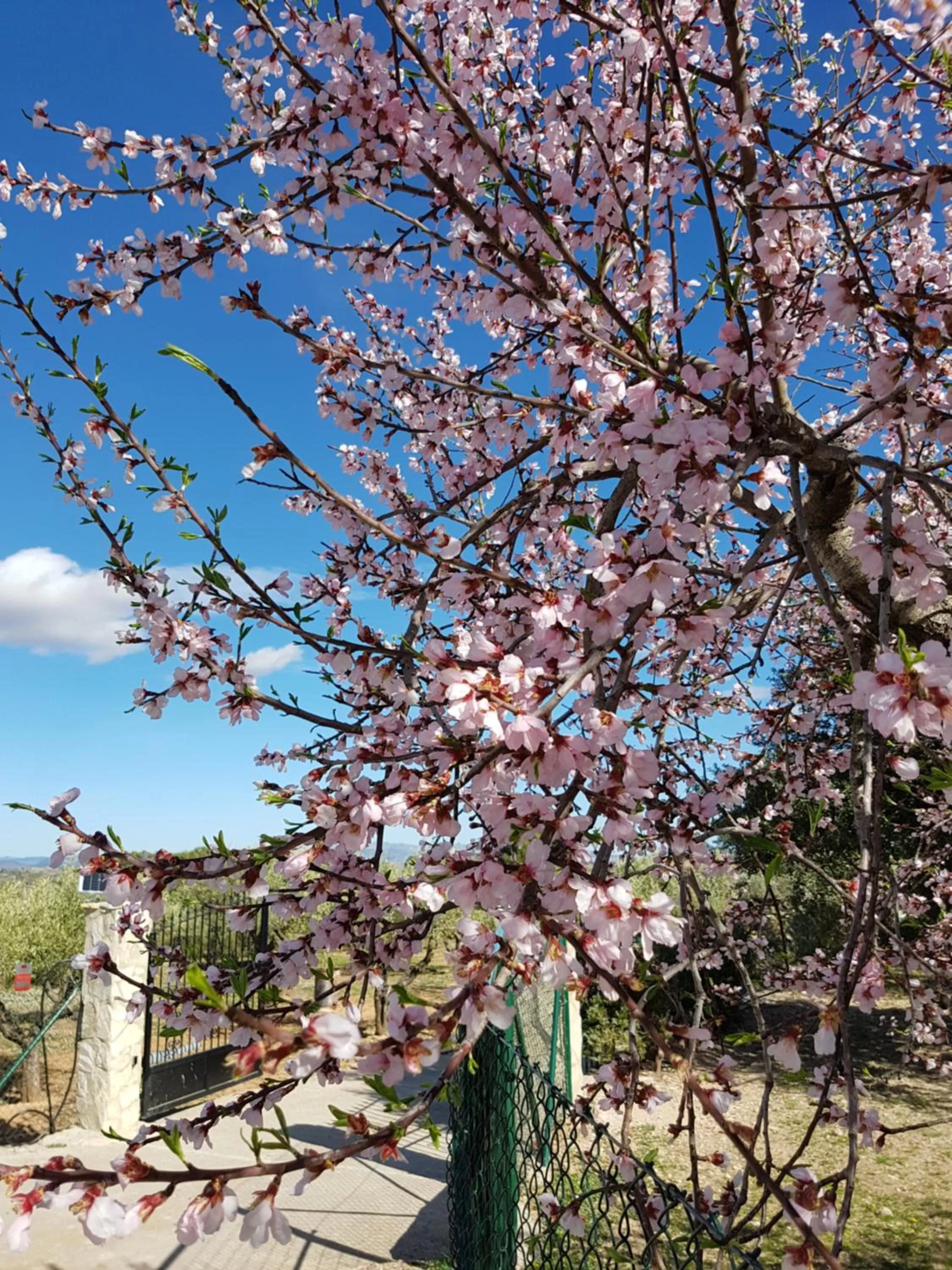 Property building in Finca La Higuera - Boutique B&B