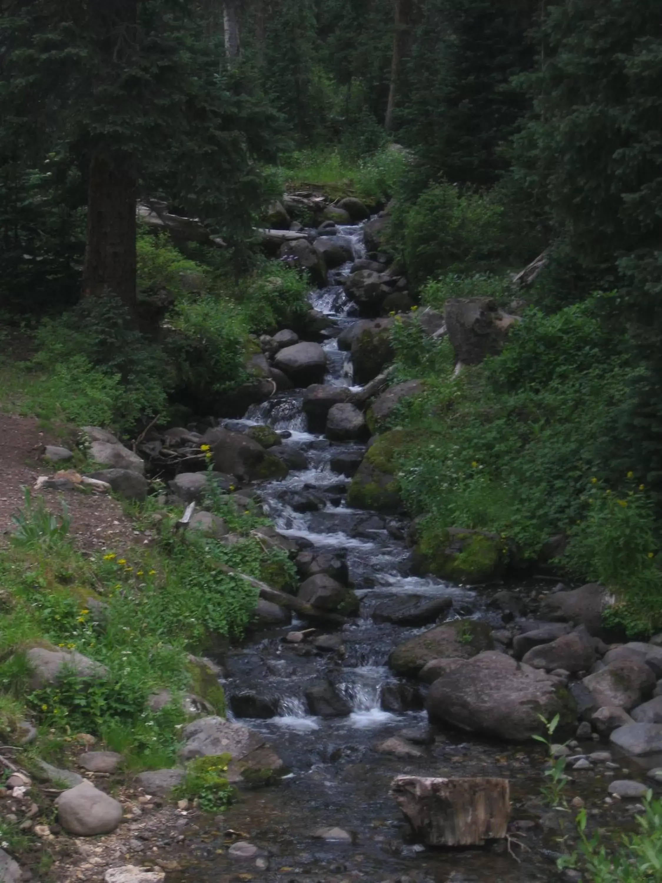 Area and facilities, Natural Landscape in Alpine Inn