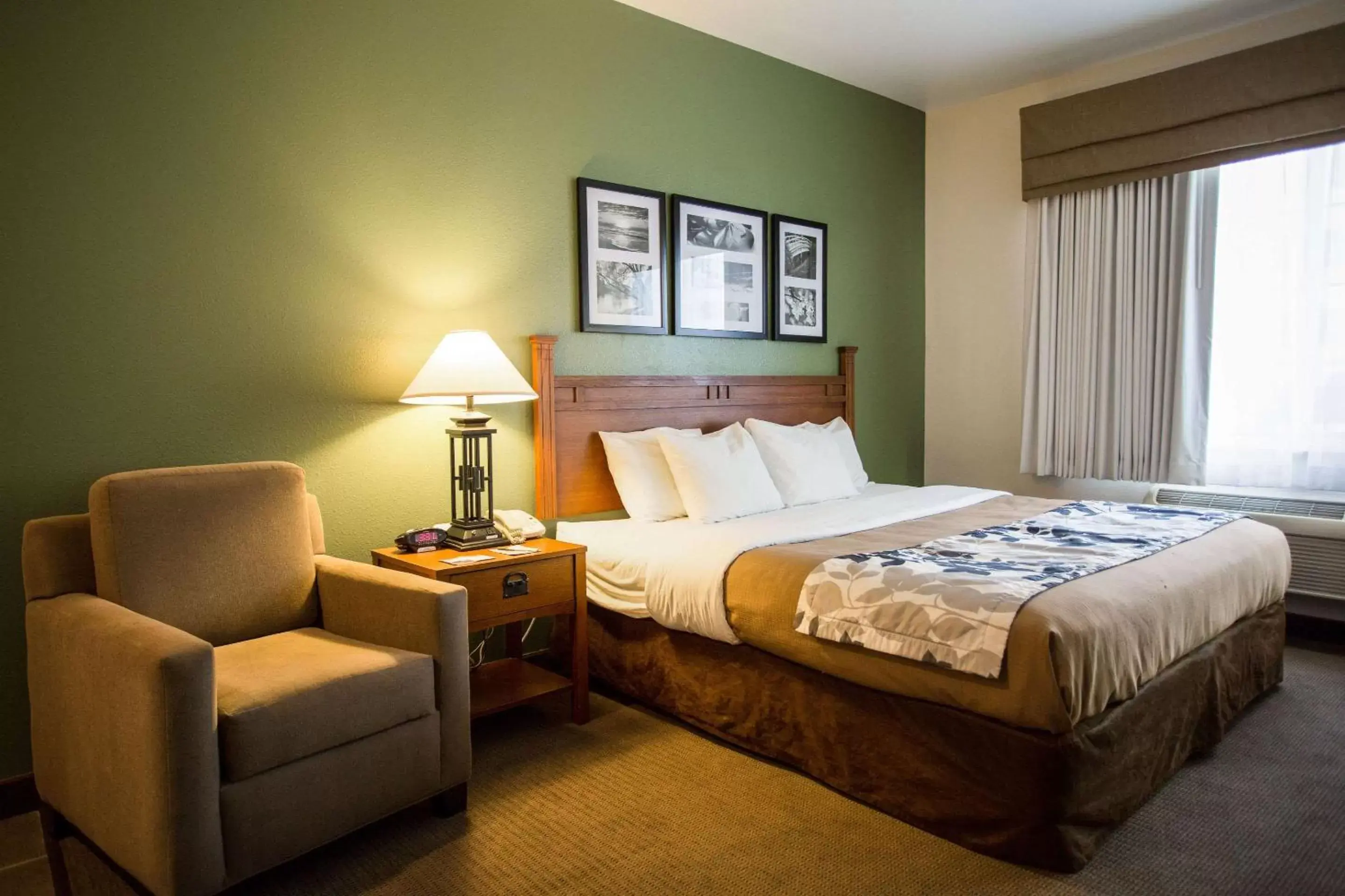 Photo of the whole room, Bed in Sleep Inn & Suites Conference Center Eau Claire