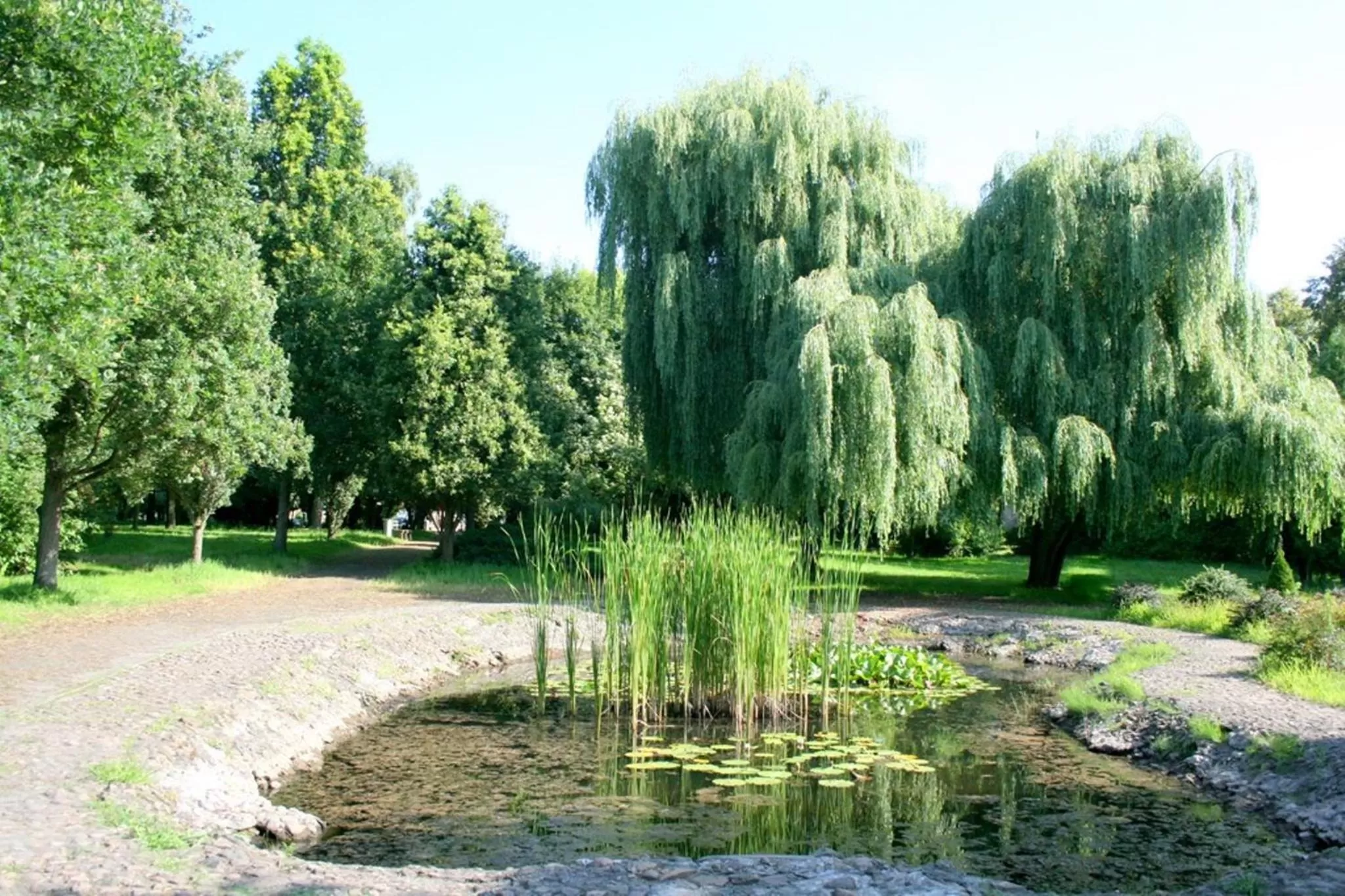 Activities in HOTEL ODR