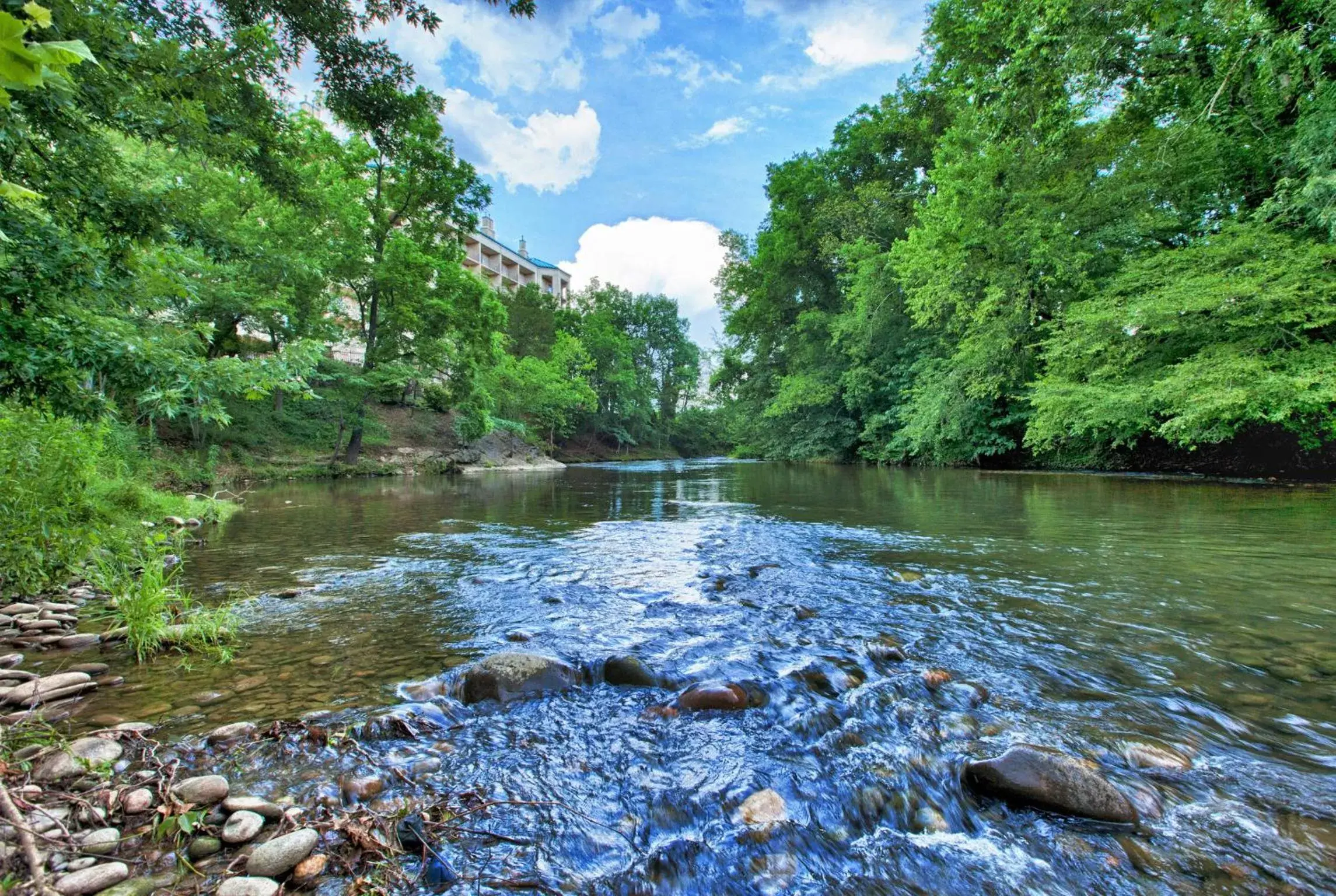 Natural landscape in Music Road Resort Hotel and Inn