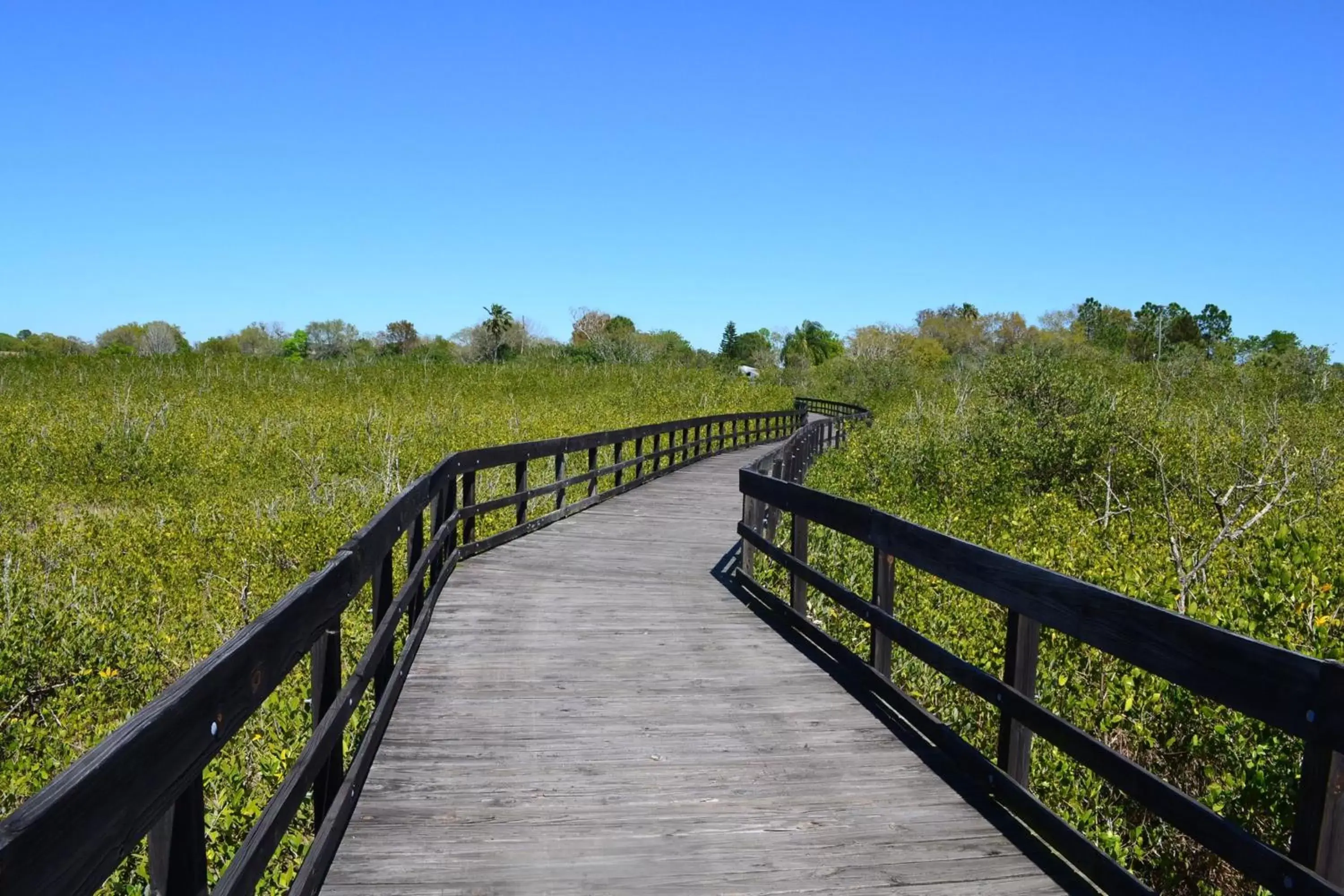 Nearby landmark in Holiday Inn Express Hotel & Suites Tampa-Oldsmar, an IHG Hotel