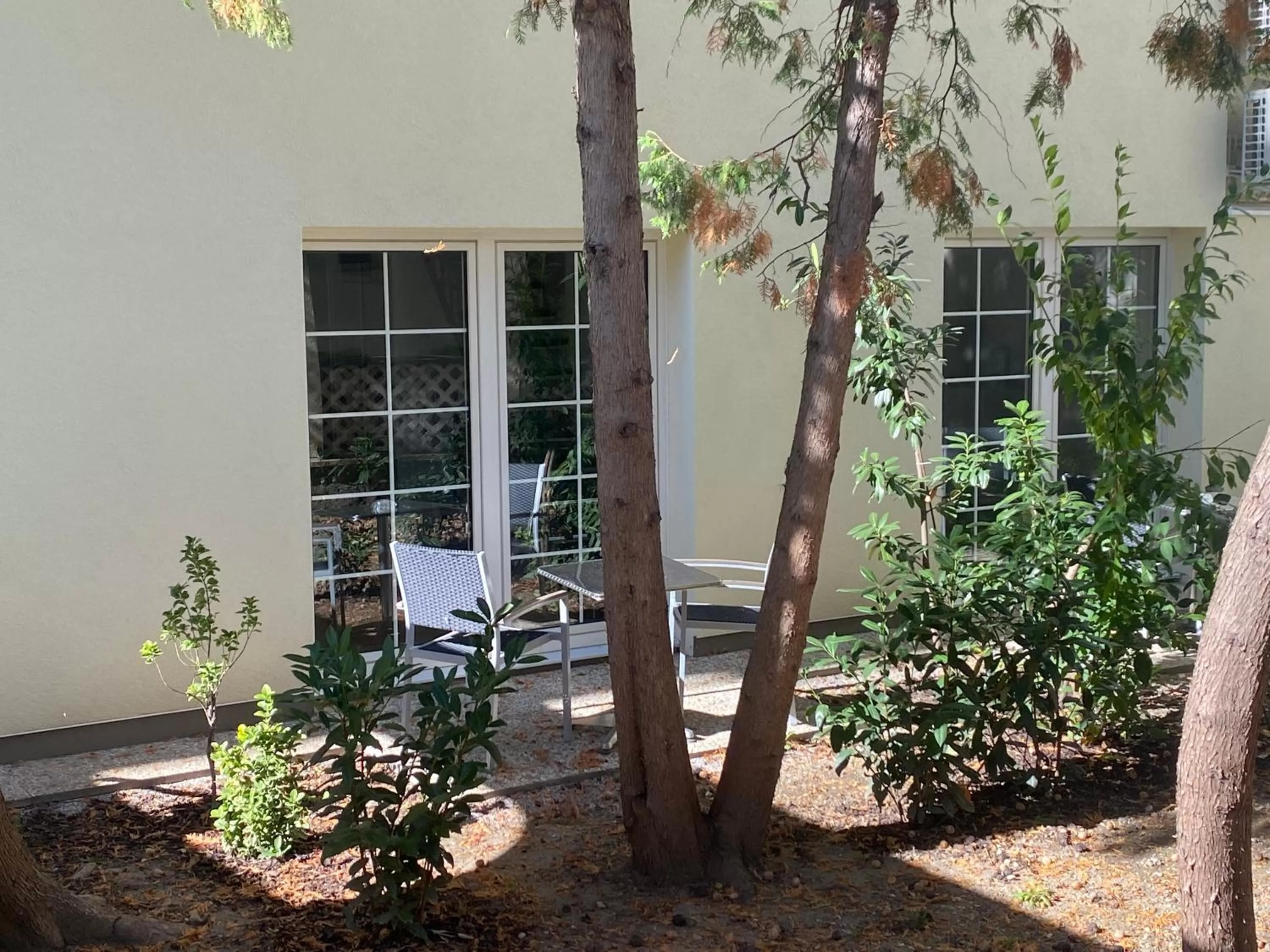 Patio in Hotel Michael