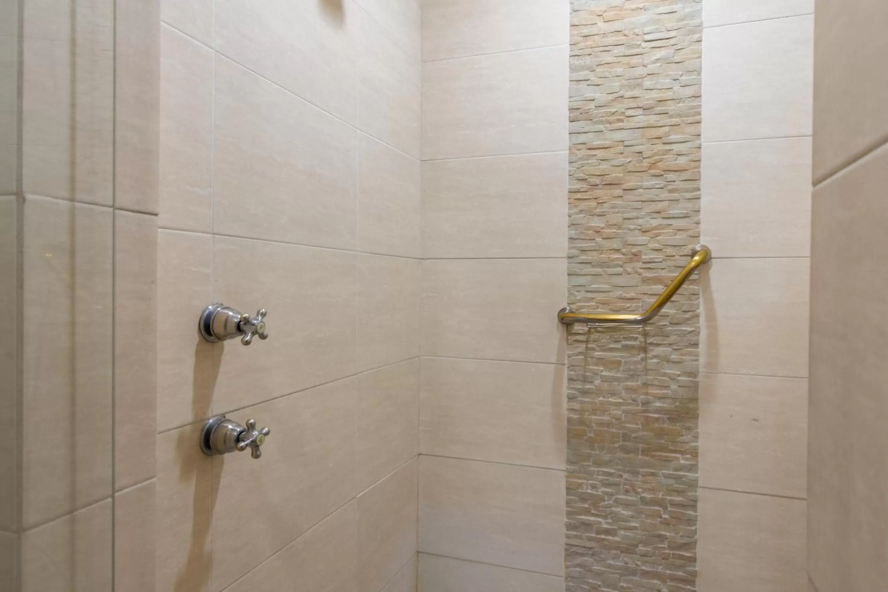 Shower, Bathroom in Hotel Flamingo Inn