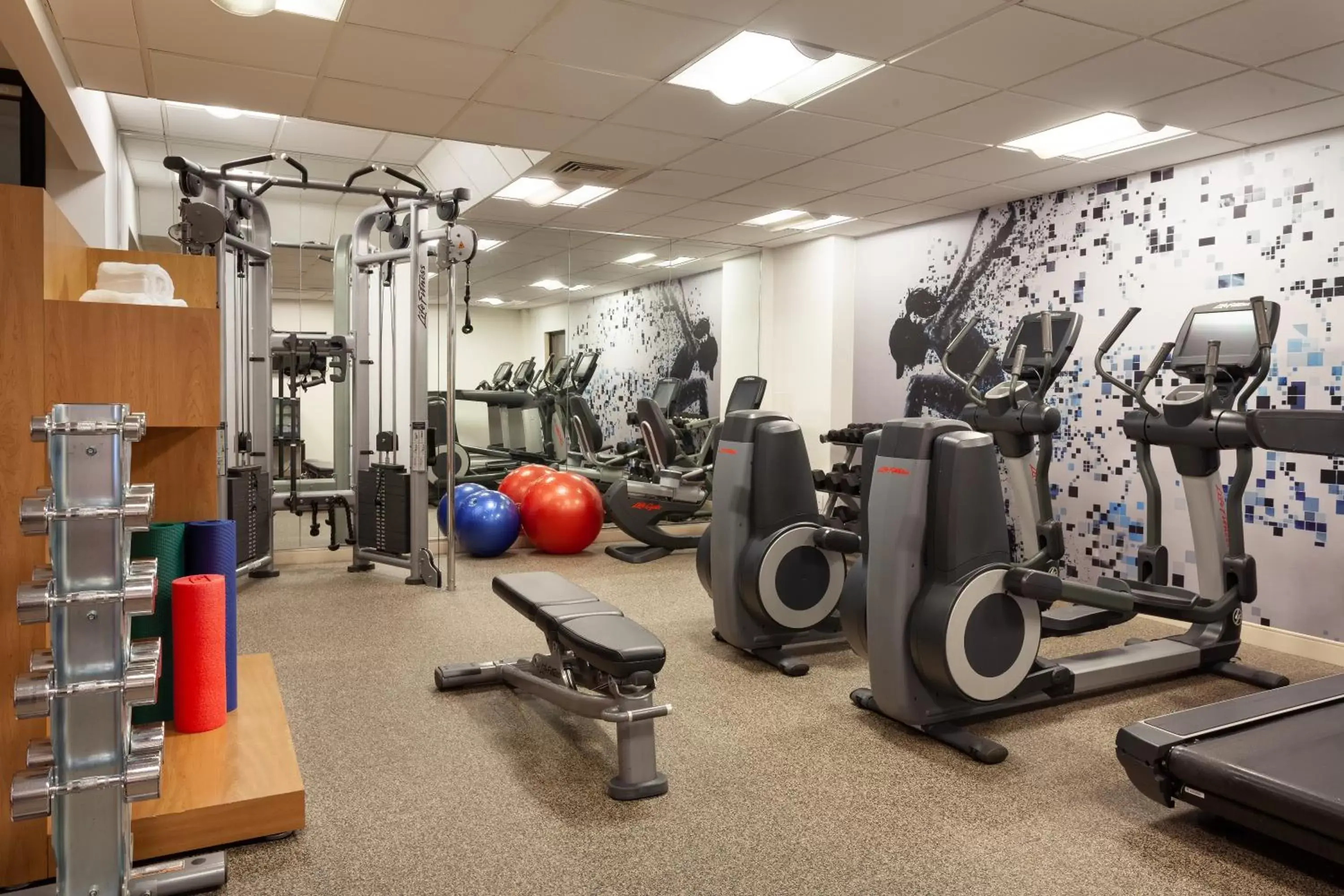 Fitness centre/facilities, Fitness Center/Facilities in Sheraton Suites Orlando Airport Hotel