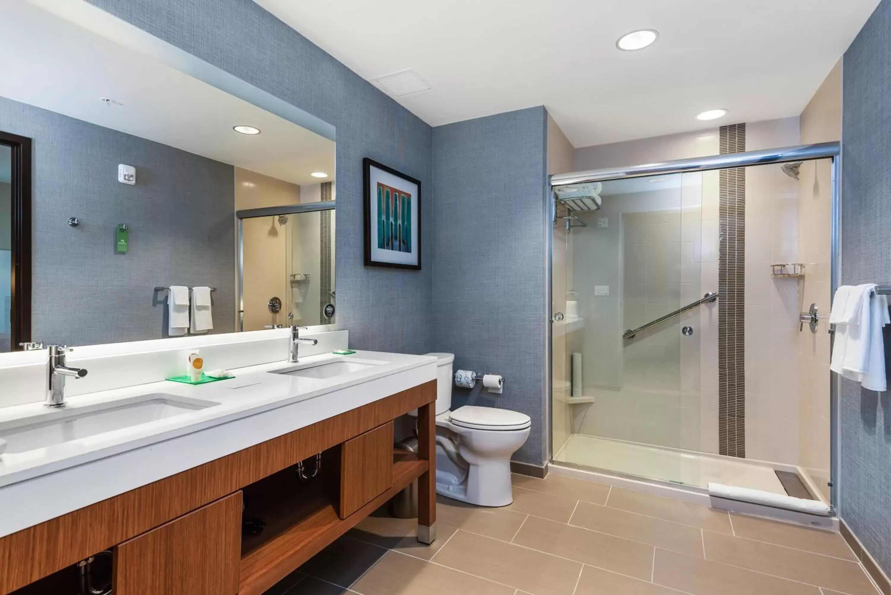Bathroom in Hyatt Place Tampa/Wesley Chapel