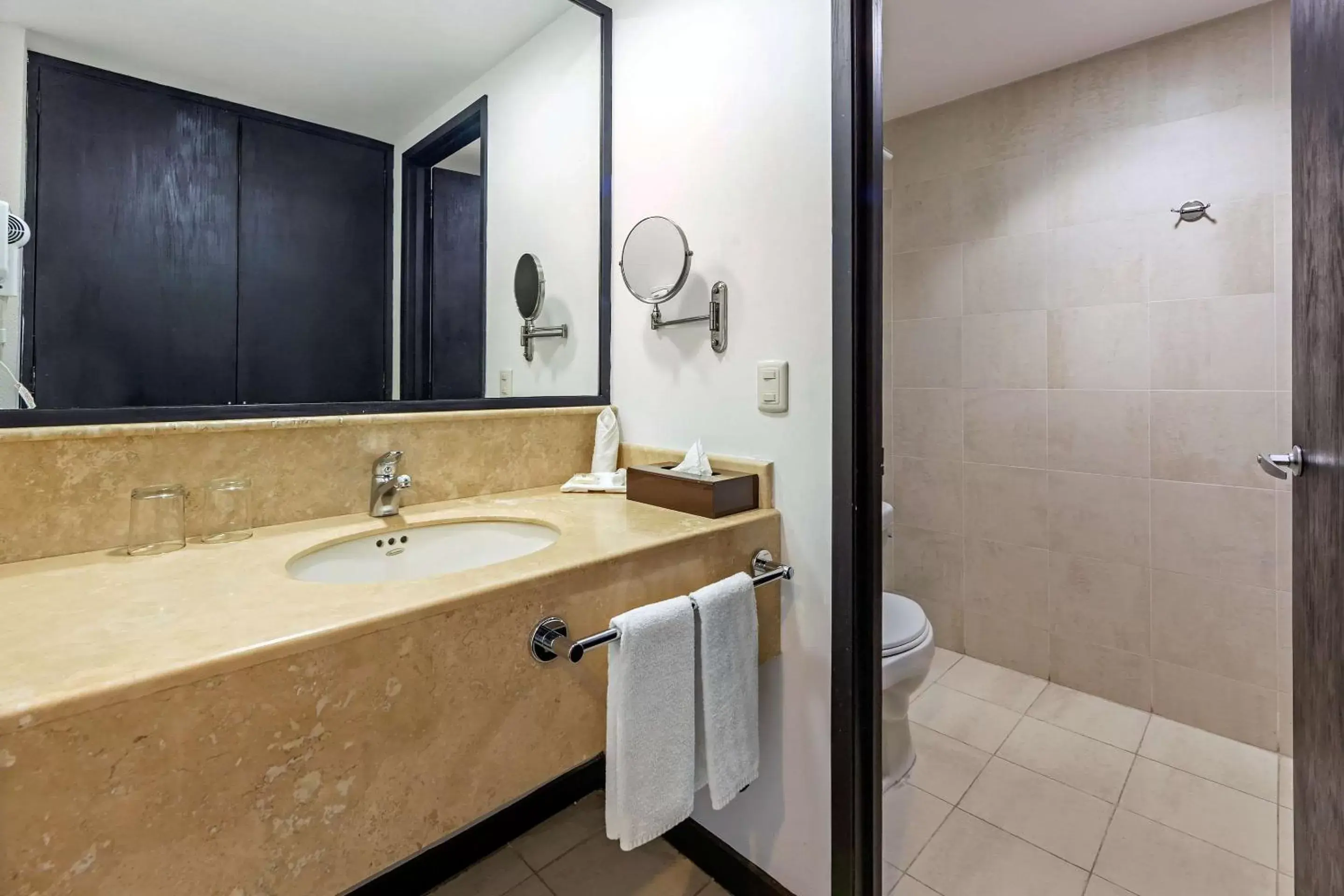 Bathroom in Comfort Inn Morelia