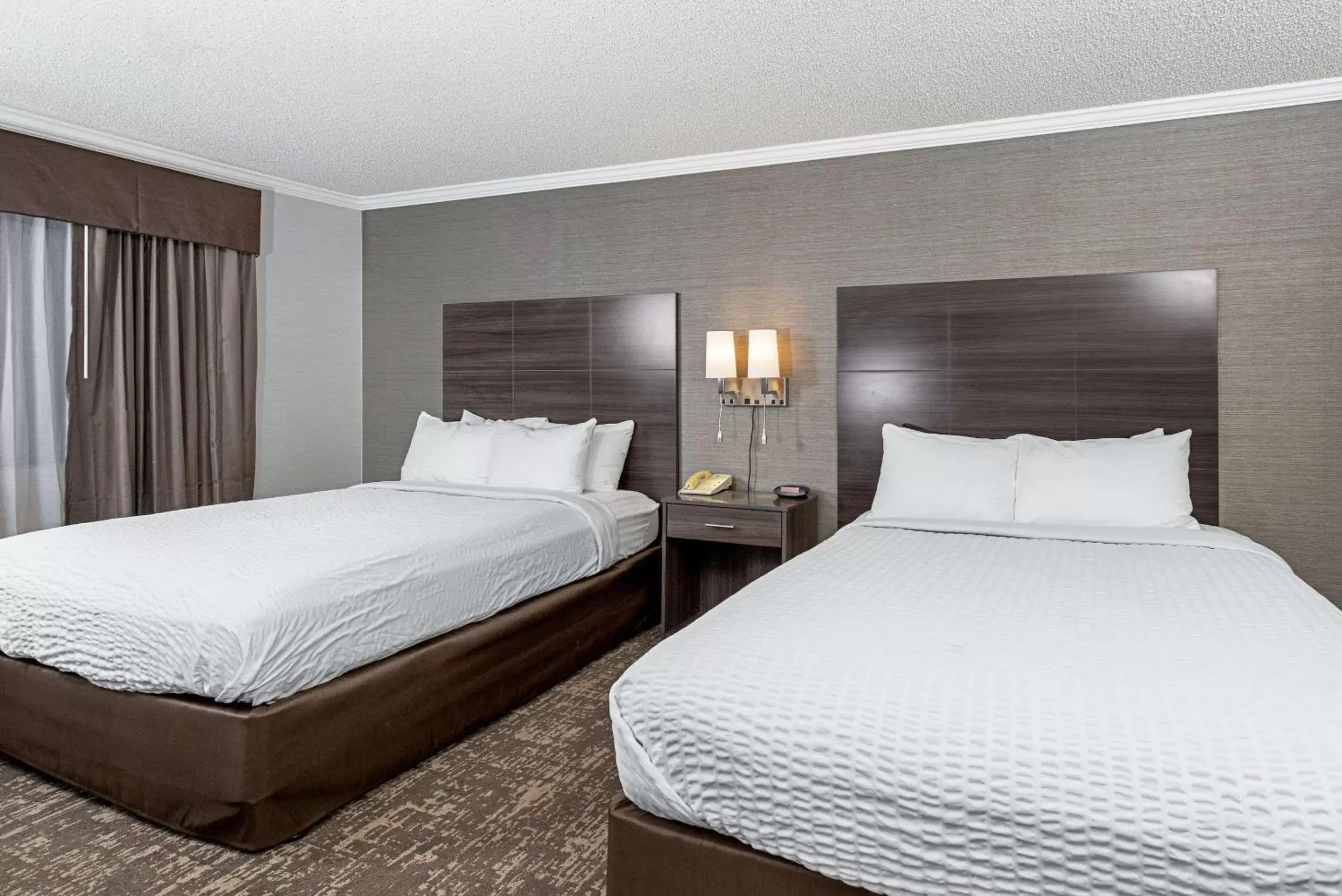 Photo of the whole room, Bed in Clarion Inn Silicon Valley