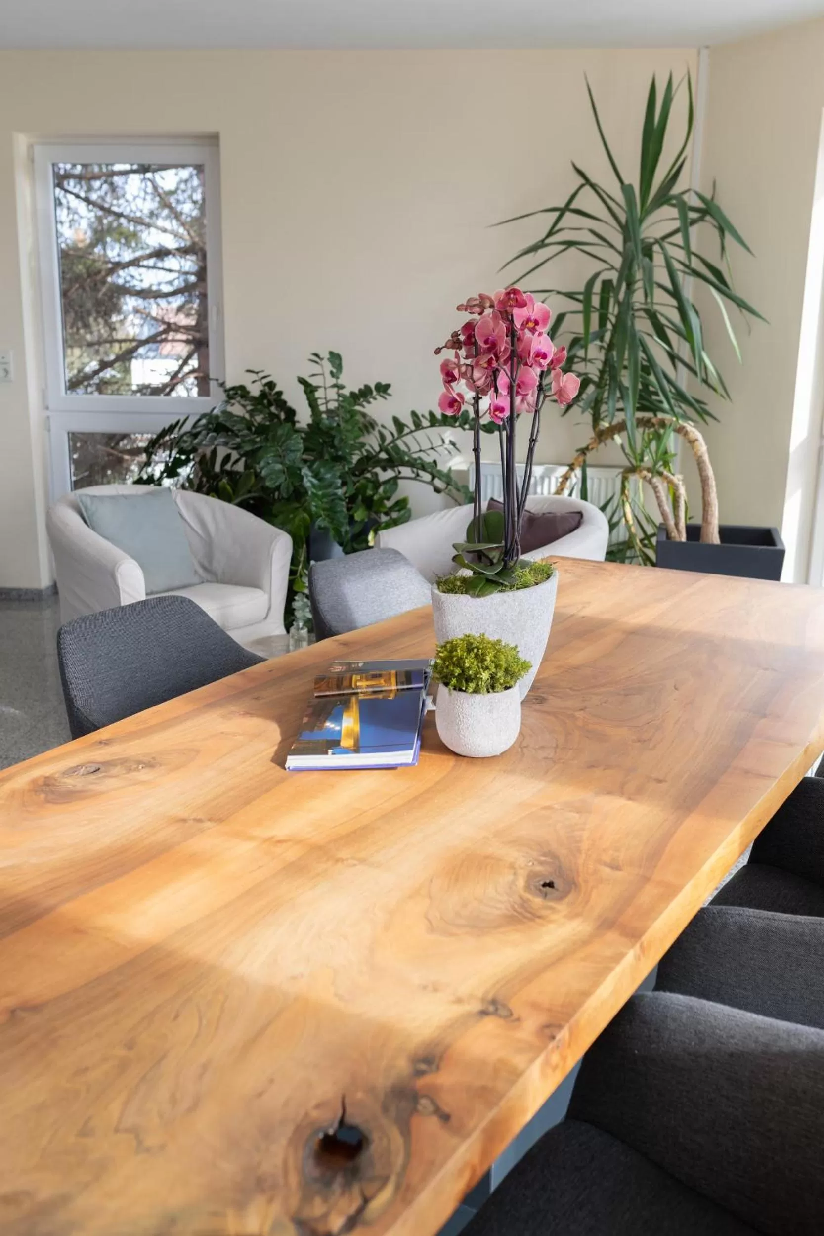 Meeting/conference room in HOTEL MARIA