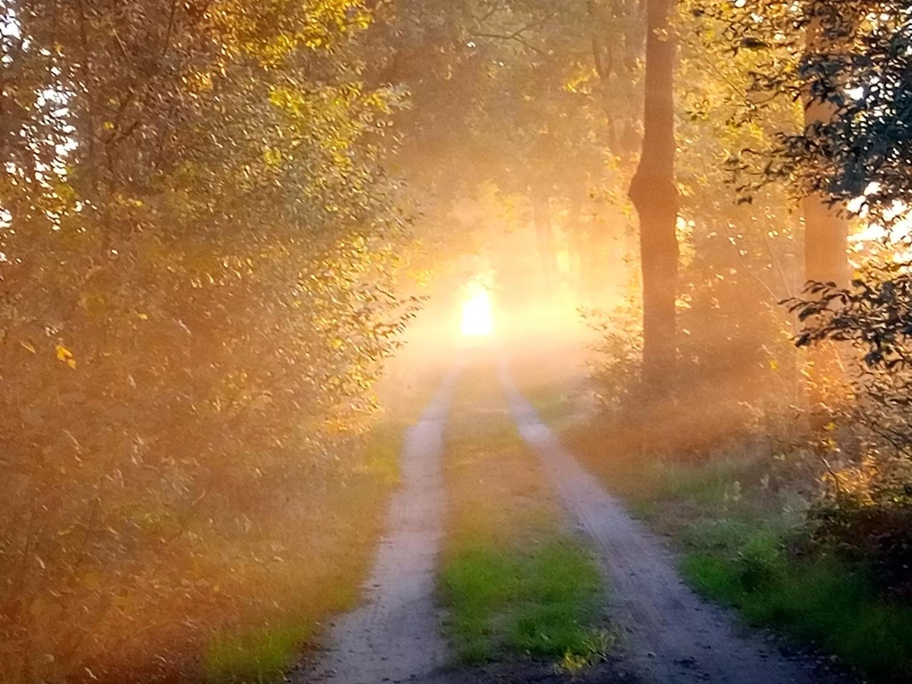 Natural landscape in B&B In de Wei