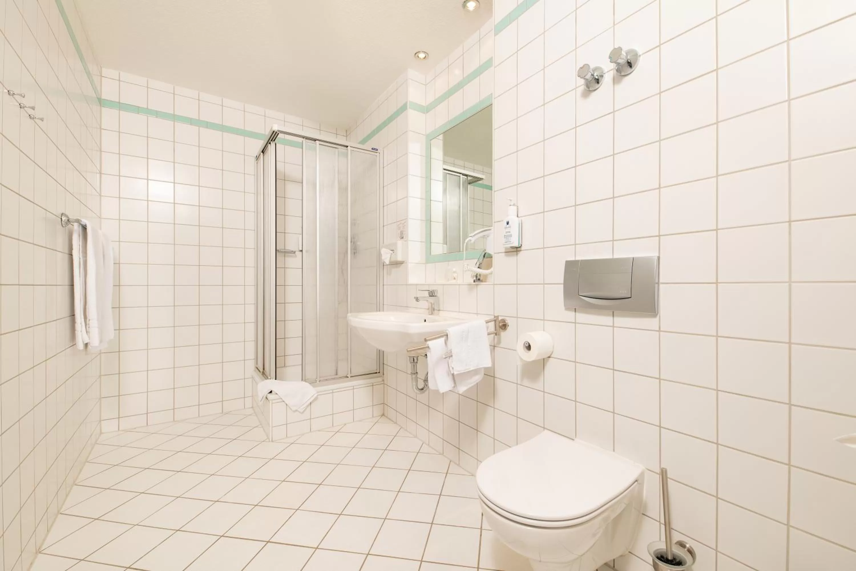 Shower in Hotel Herzog Georg