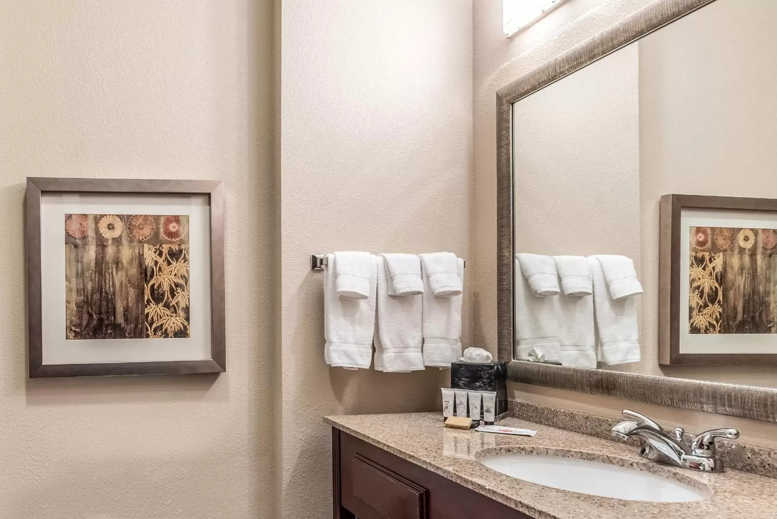 Bathroom in Red Lion Inn & Suites Mineral Wells