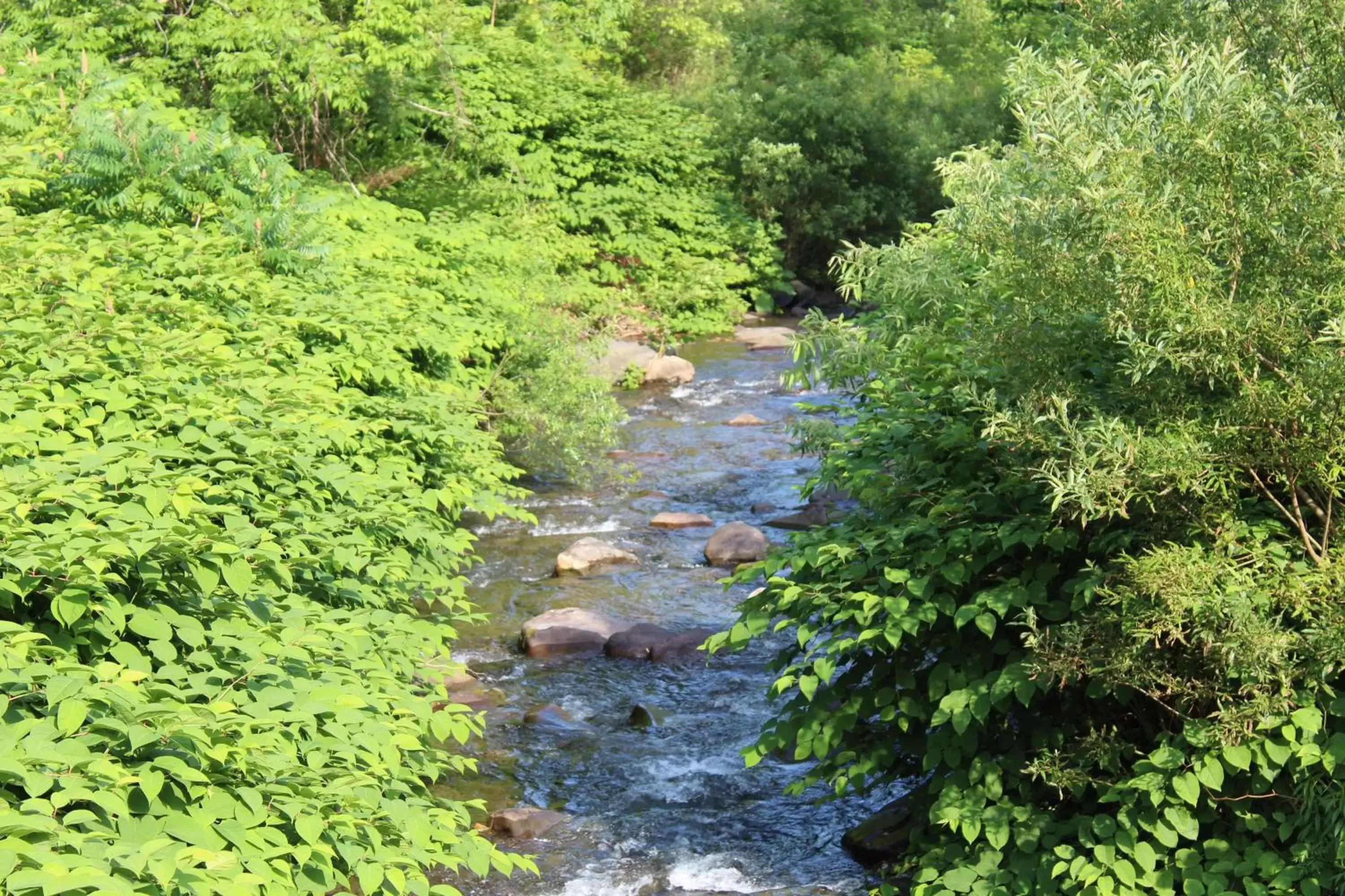 Natural landscape in Catskill Seasons Inn