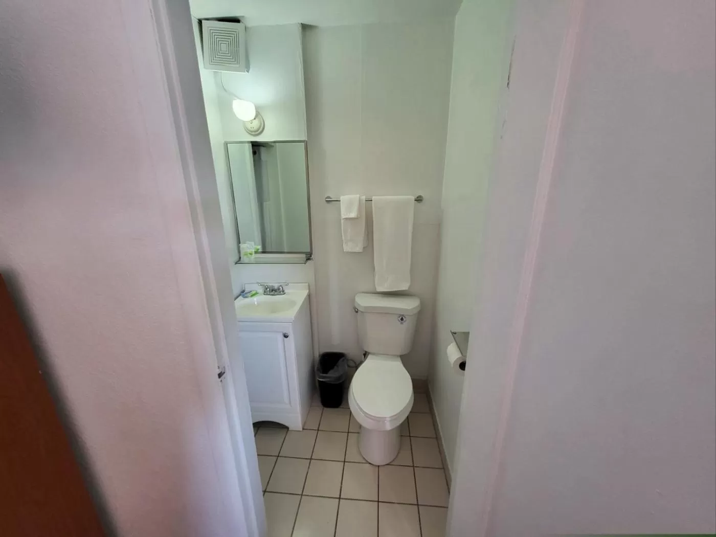 Toilet in Rose's Motel