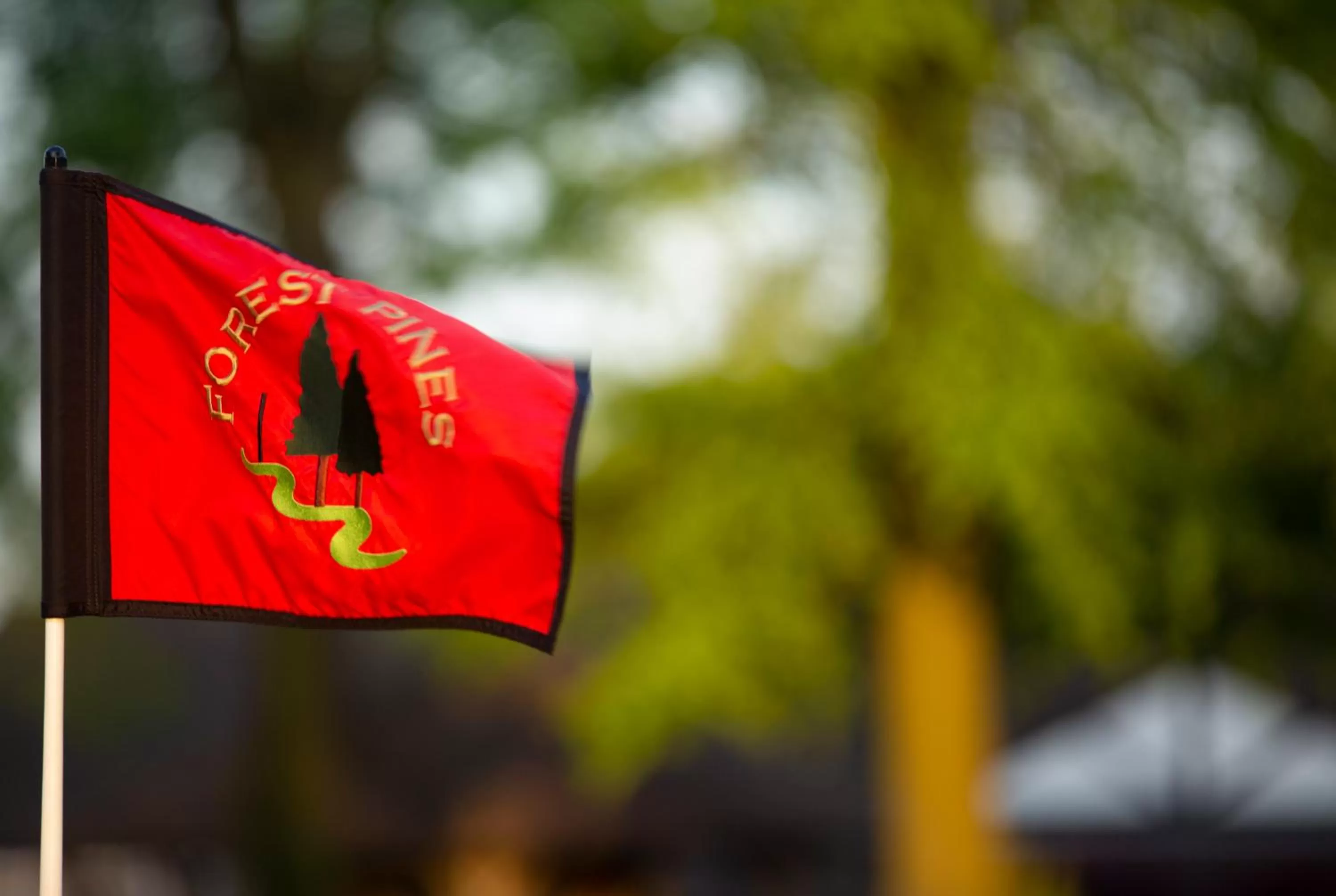 Golfcourse in Forest Pines Hotel, Spa & Golf Resort