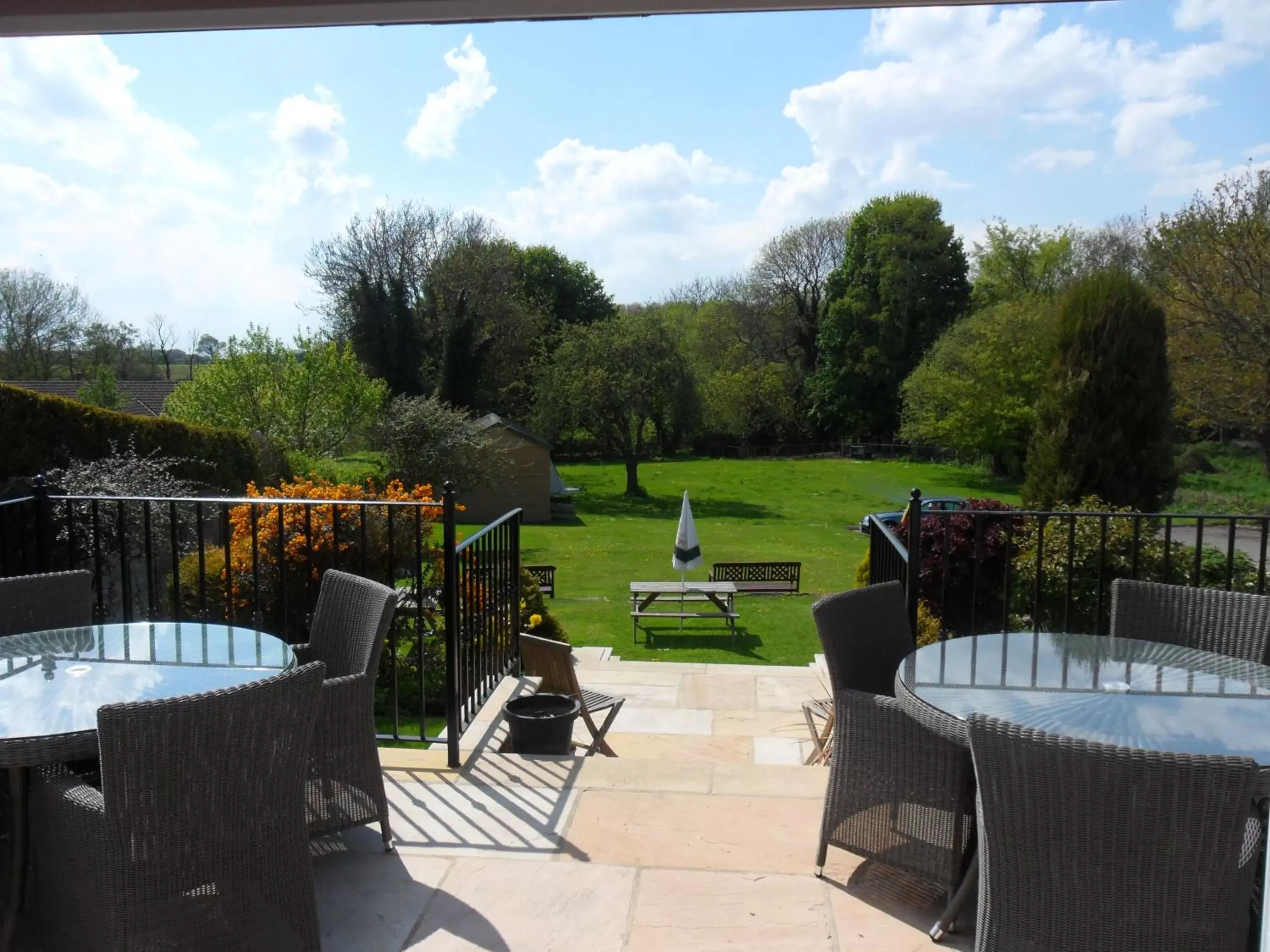 Patio in Old Oak Tree