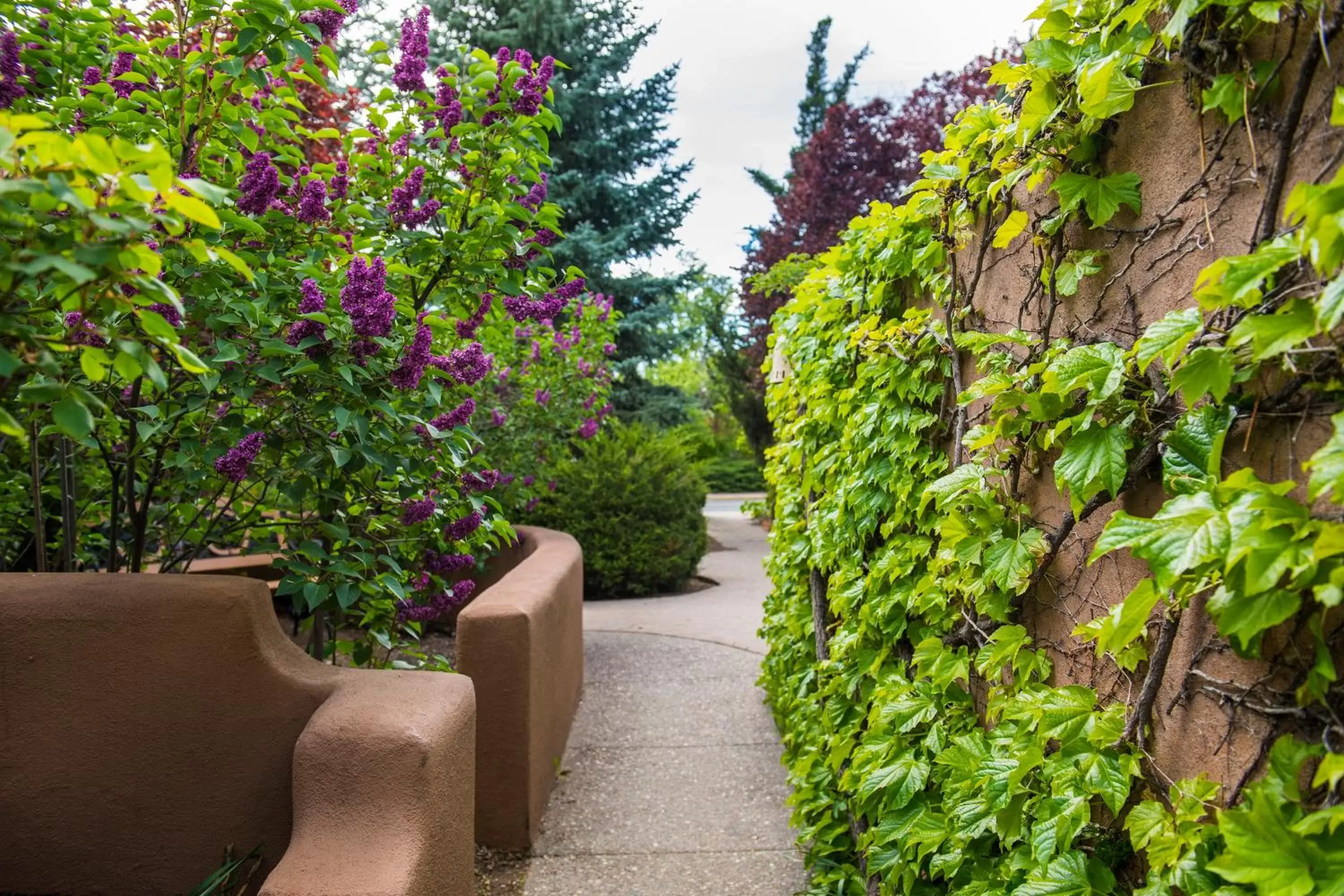 Garden in Inn on the Alameda