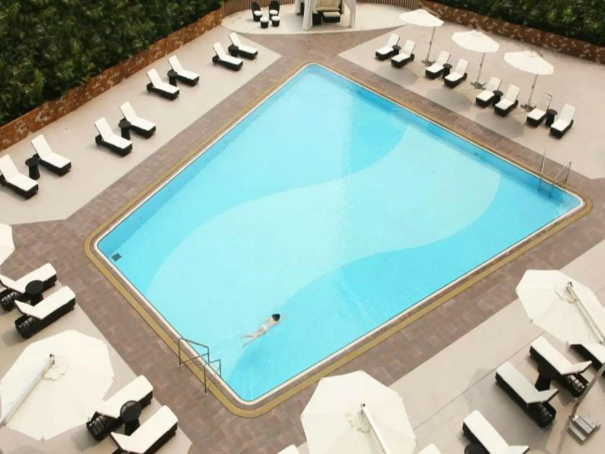 Swimming pool, Pool View in Panda Hotel