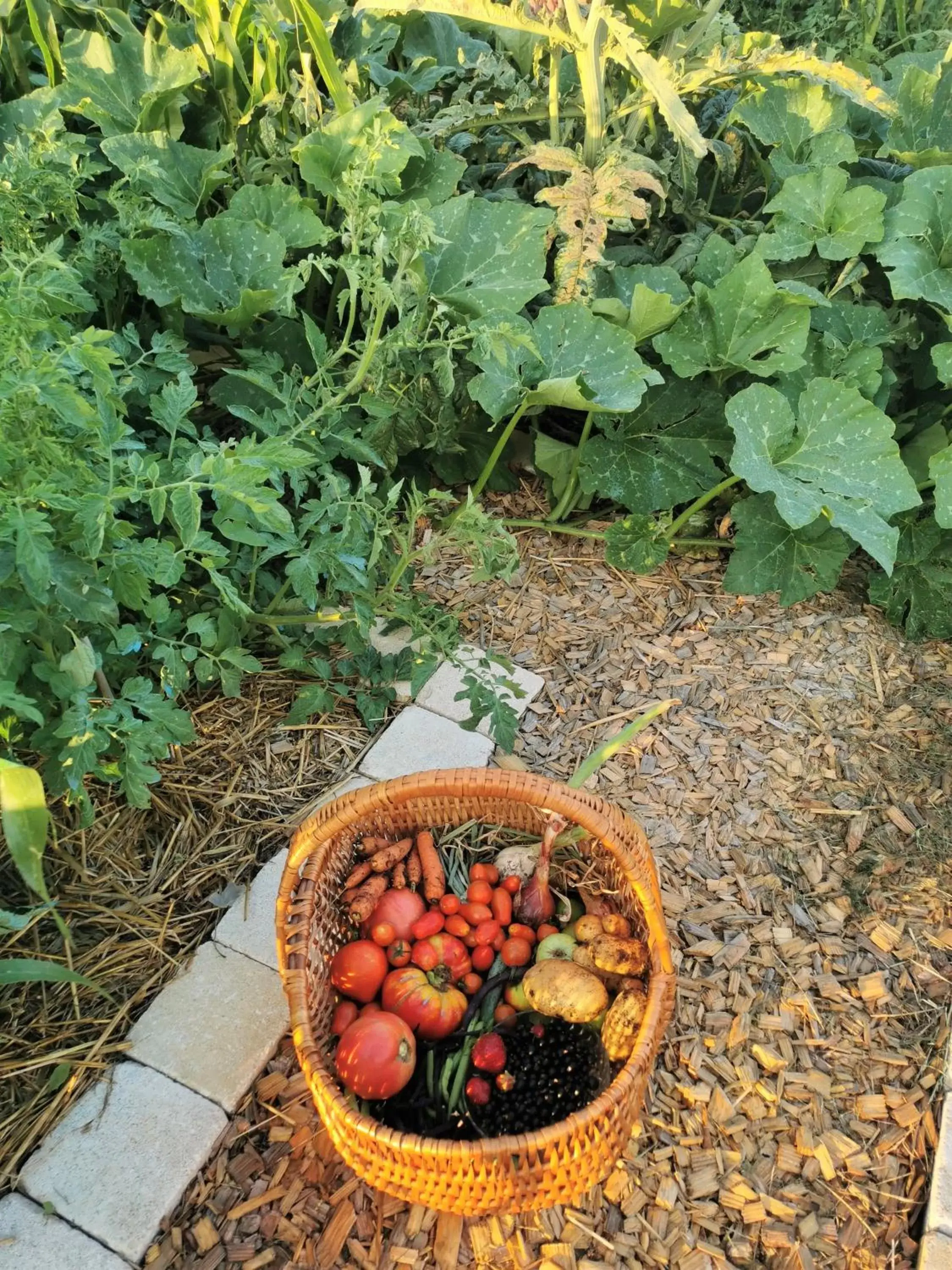 Garden in Au Jardin des Deux Roches