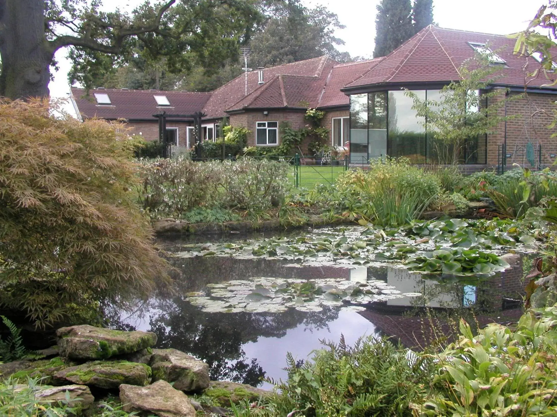 Garden, Property Building in South Lodge