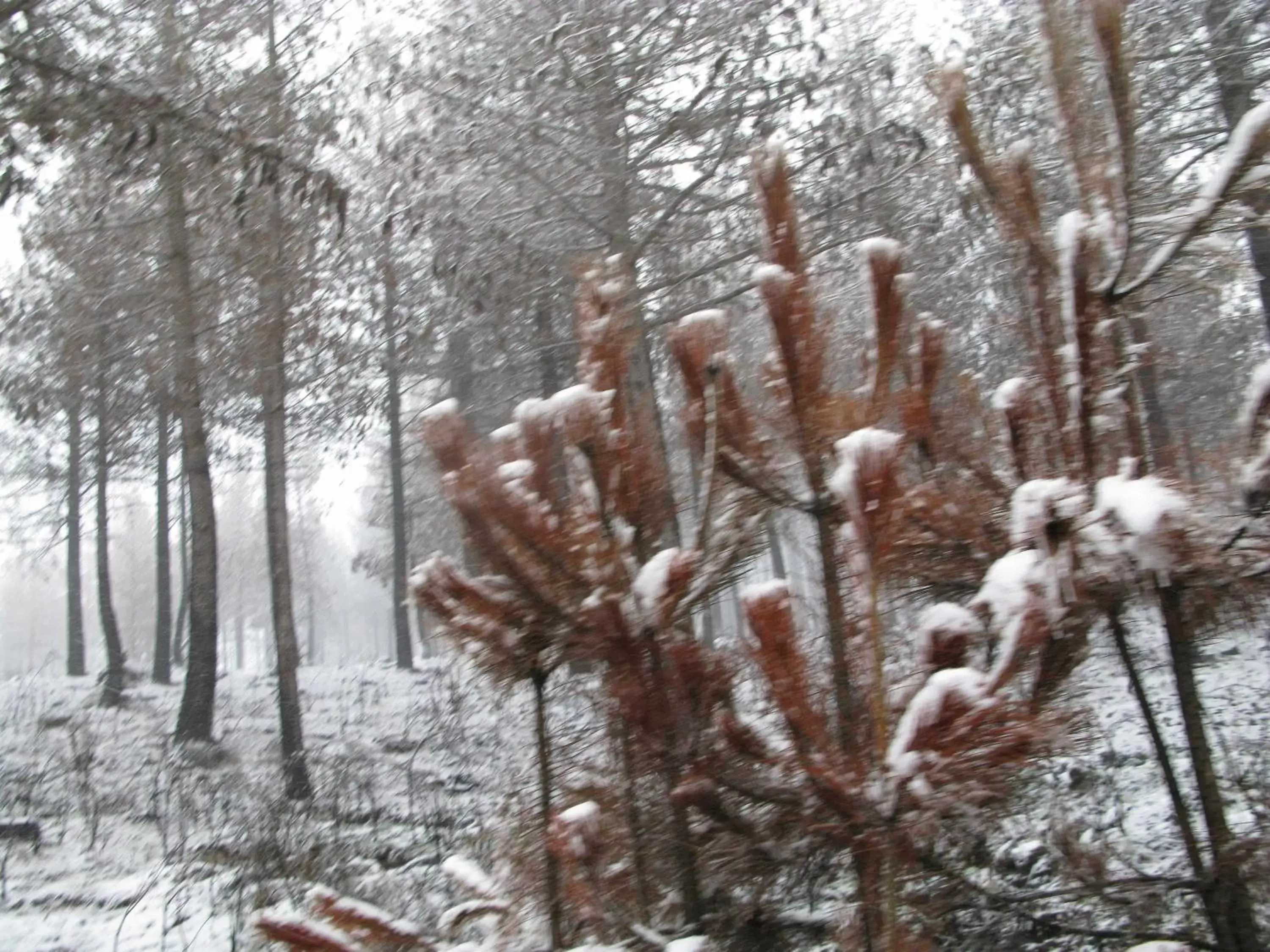 Day, Winter in Casa de Santa Ana da Beira