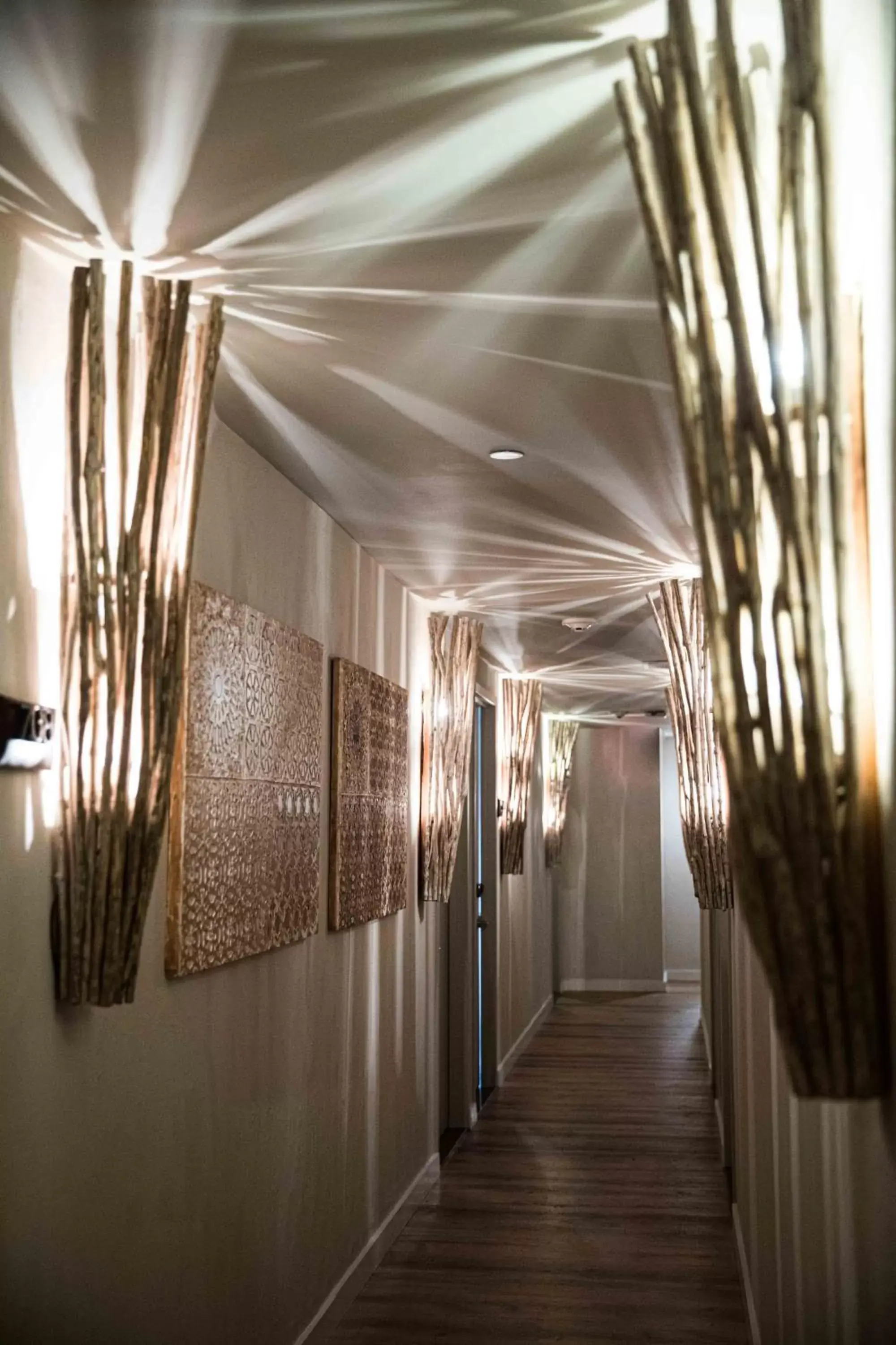 CODA Williamsburg CODA Williamsburg