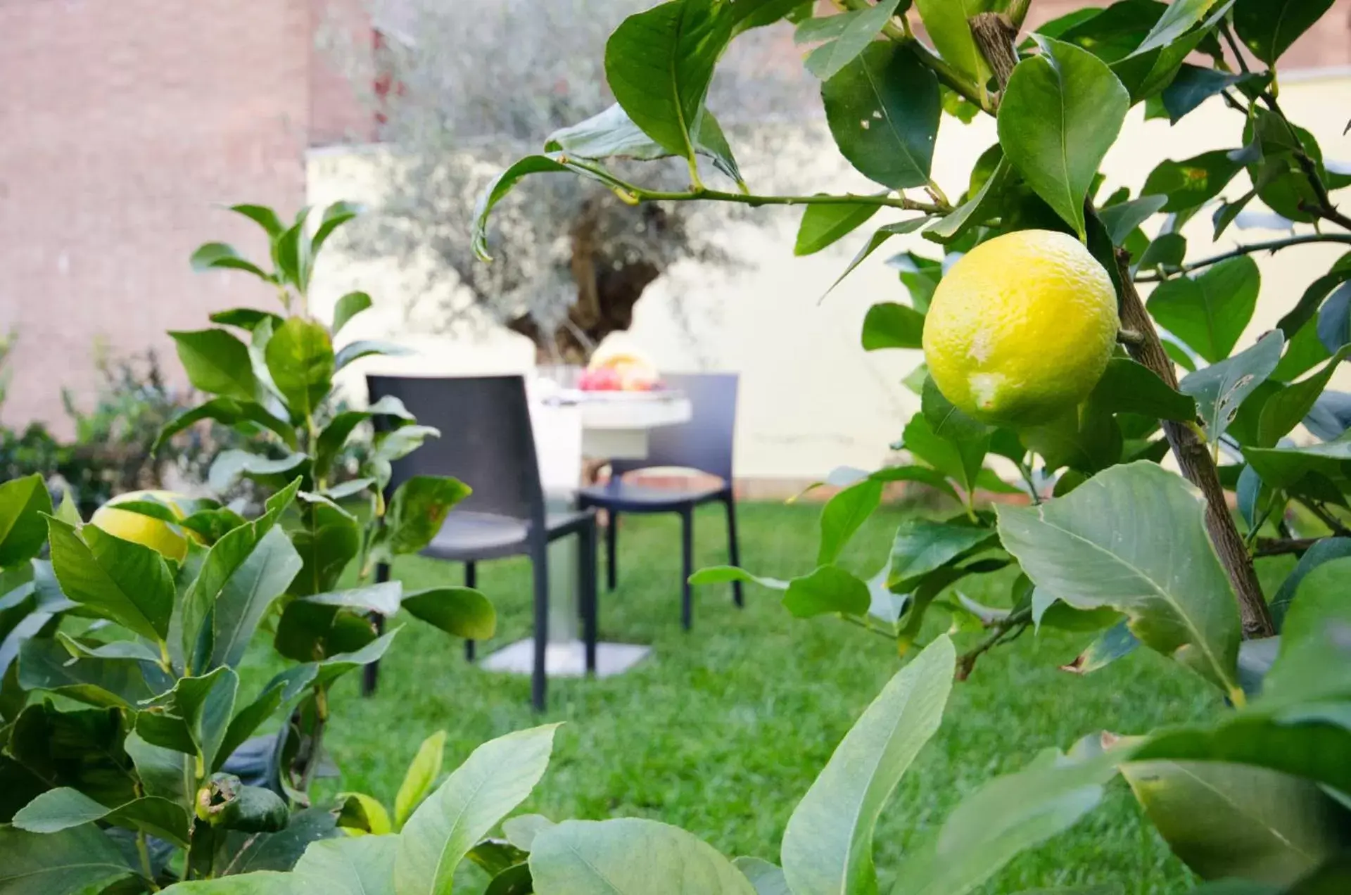 Garden in Corte Maggiore