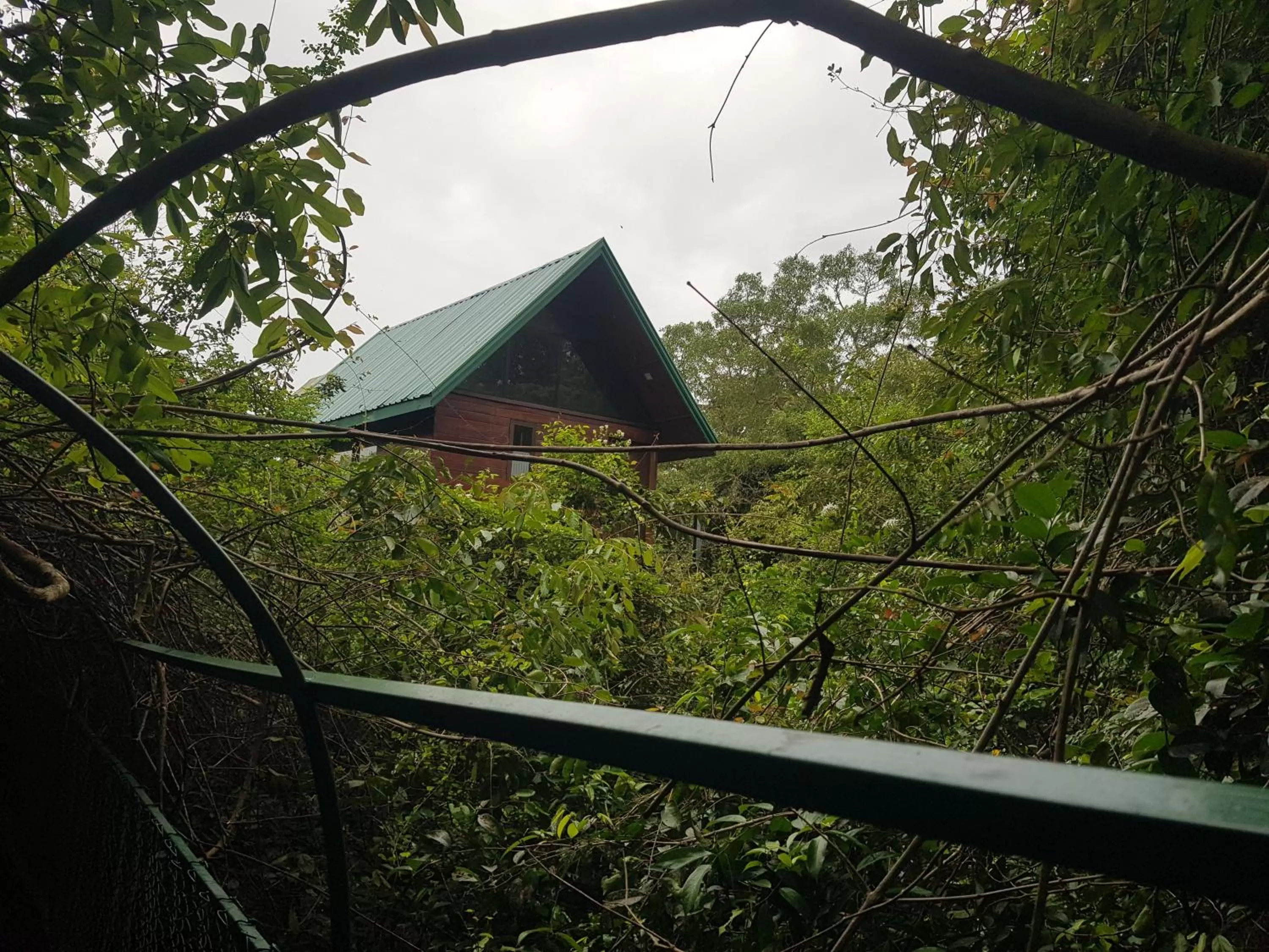 Garden view in Nice Place Resort
