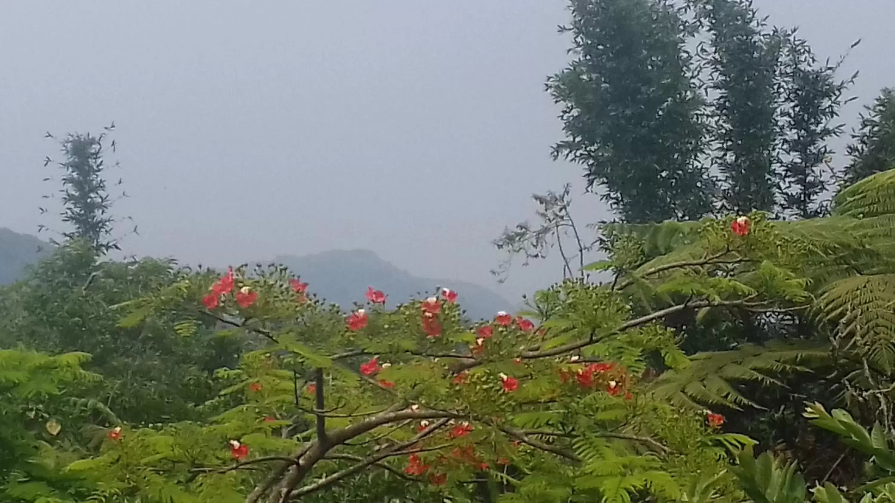 Natural landscape, Mountain View in Hospedaje Totalmanik