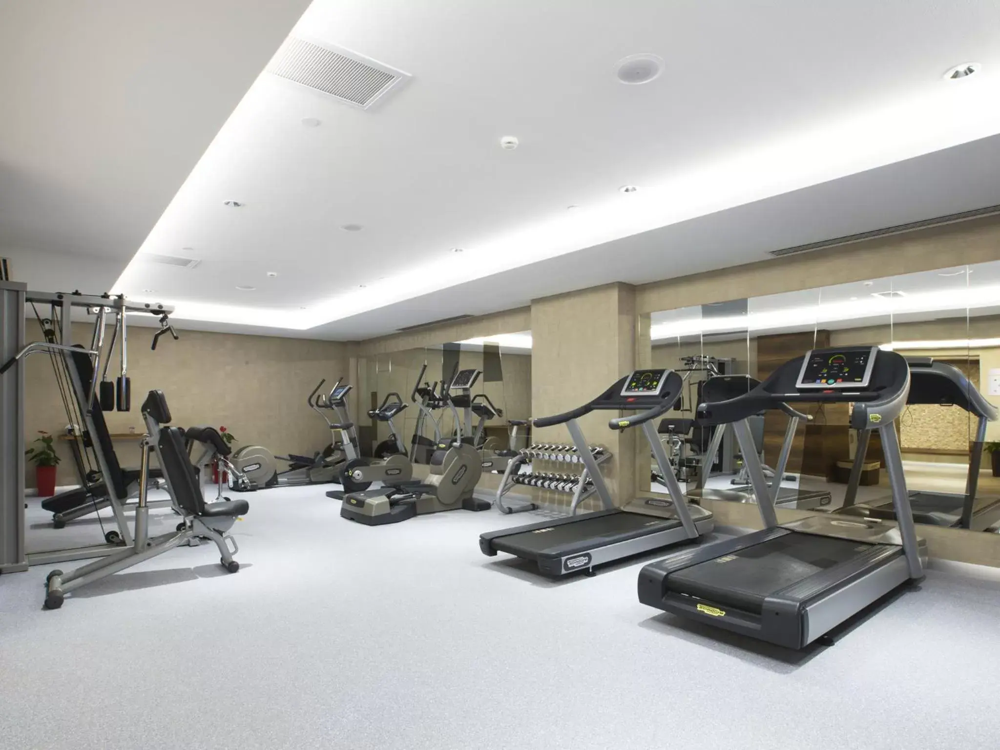 Activities, Fitness Center/Facilities in Mercure Tbilisi Old Town