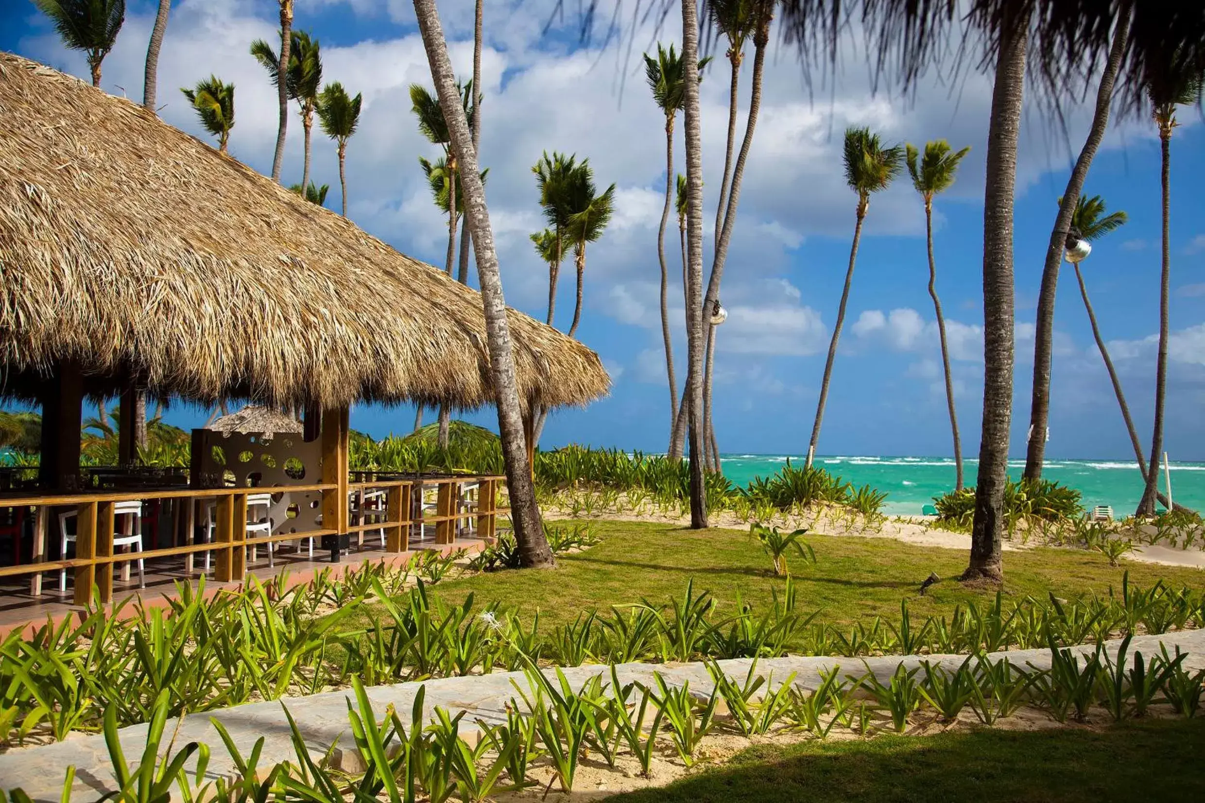 View (from property/room) in Grand Palladium Punta Cana Resort & Spa - All Inclusive