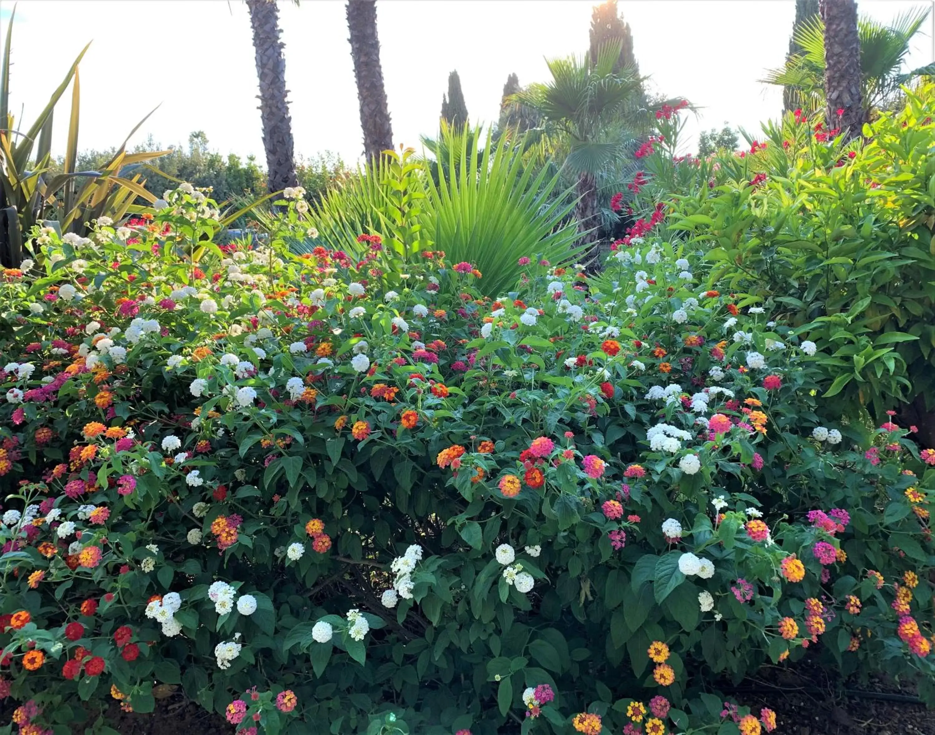 Natural landscape, Garden in Domaine de l'Aufrene